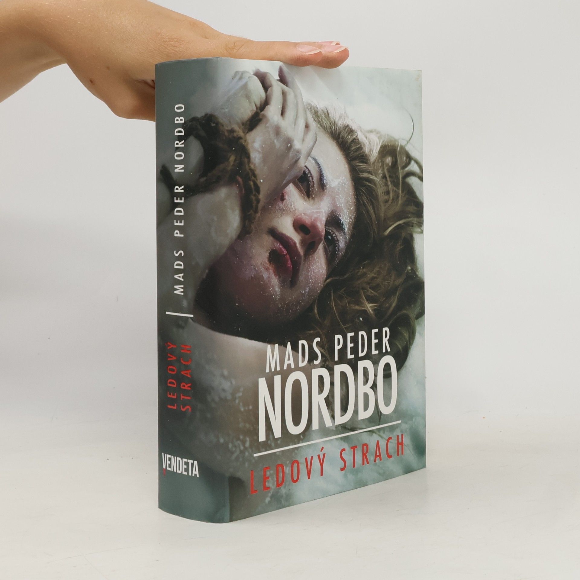 Mads Peder Nordbo Ledový strach