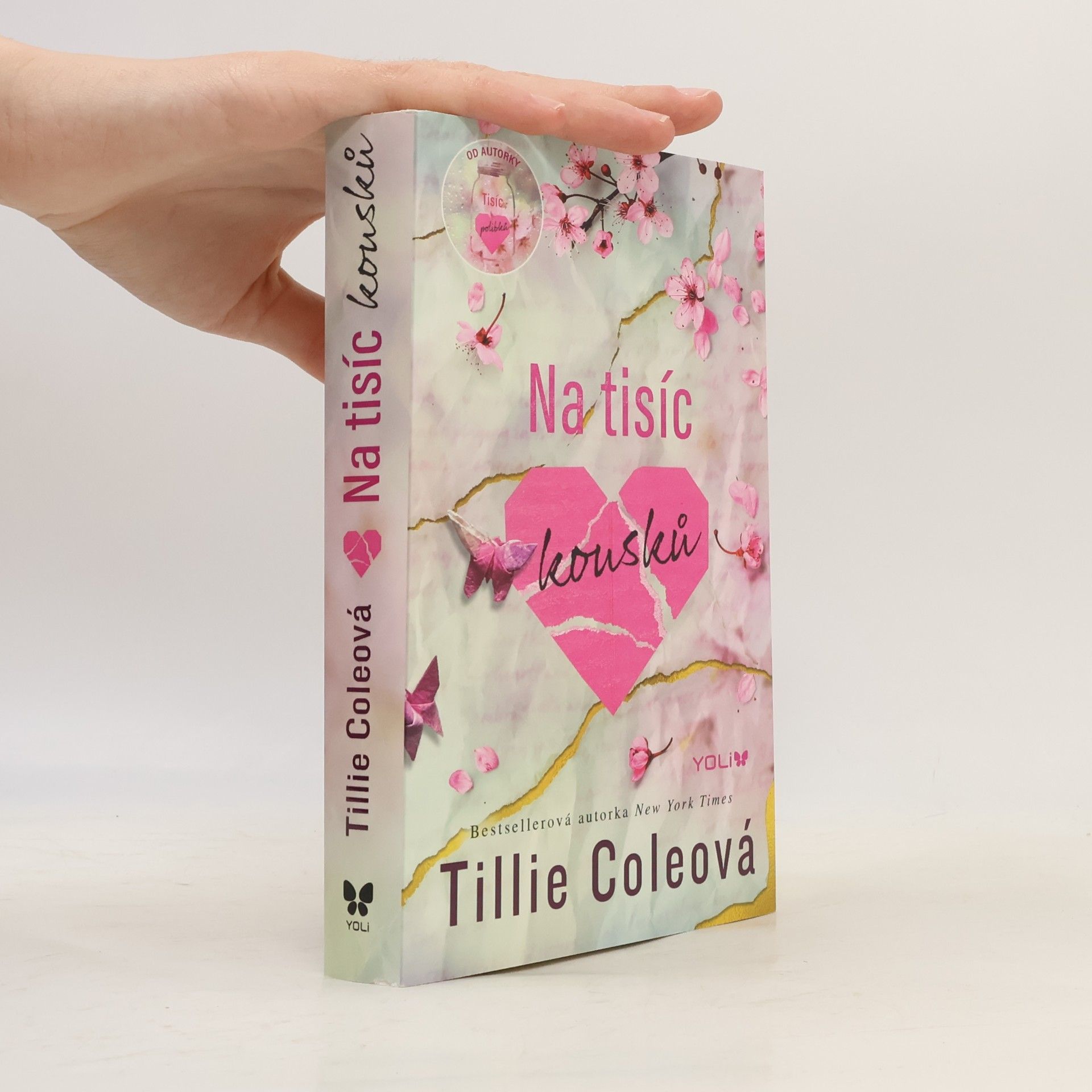 Tillie Cole Na tisíc kousků