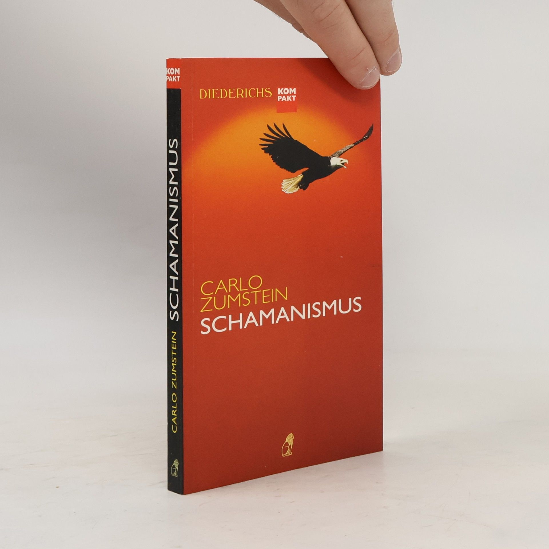 Carlo Zumstein Schamanismus