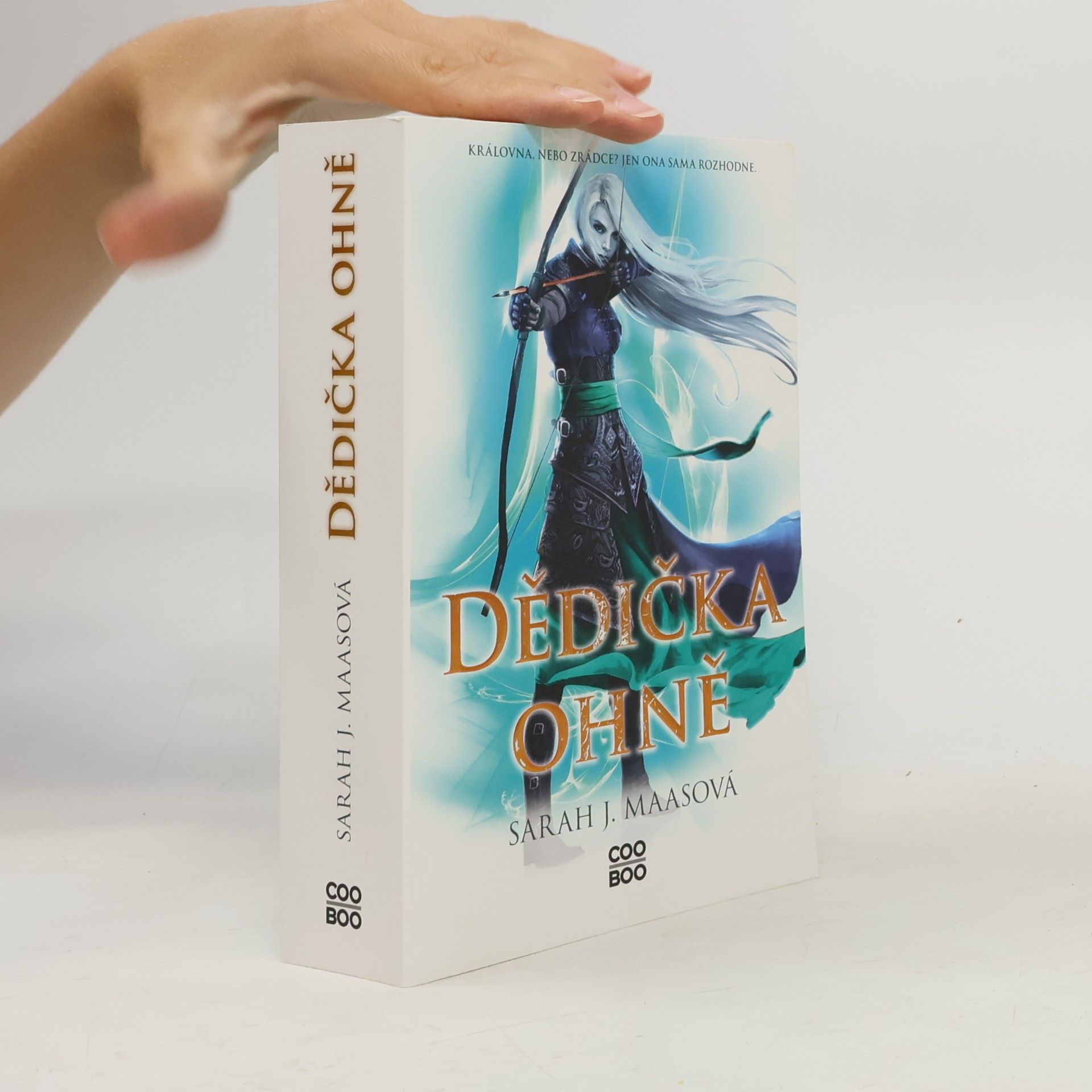 Sarah J. Maas Dědička ohně