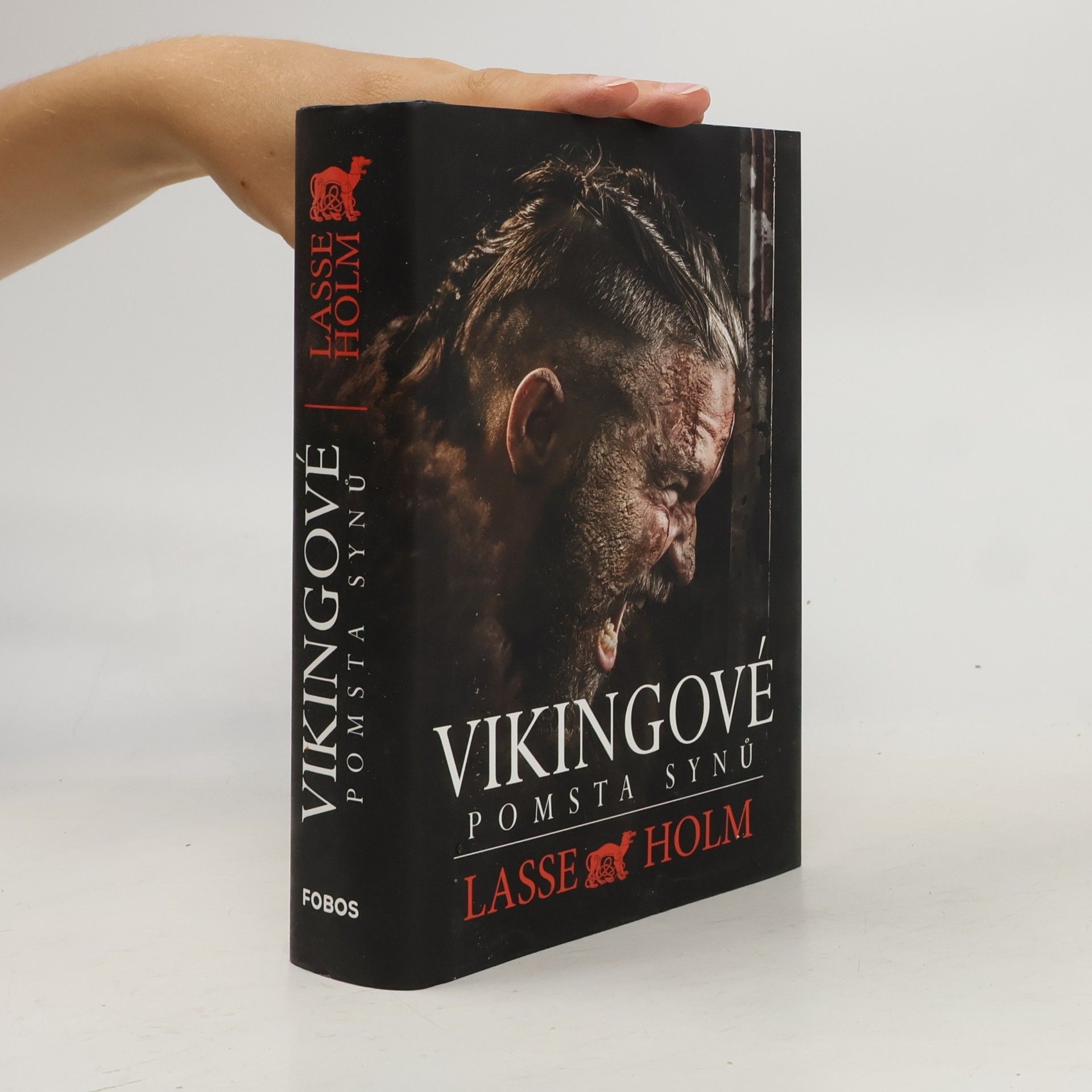 Lasse Holm Vikingové. Pomsta synů