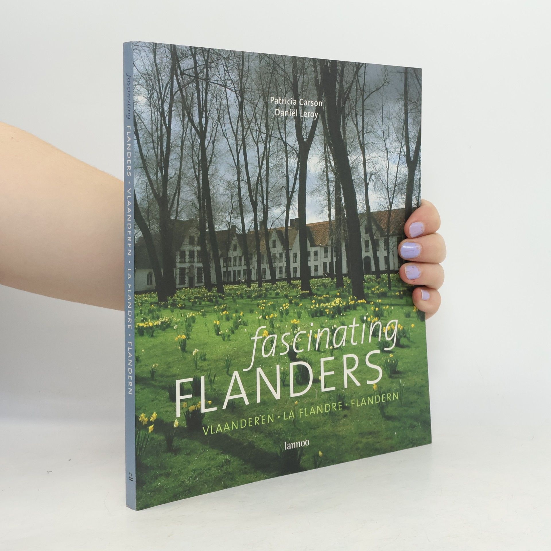 Daniël Leroy Fascinating Flanders