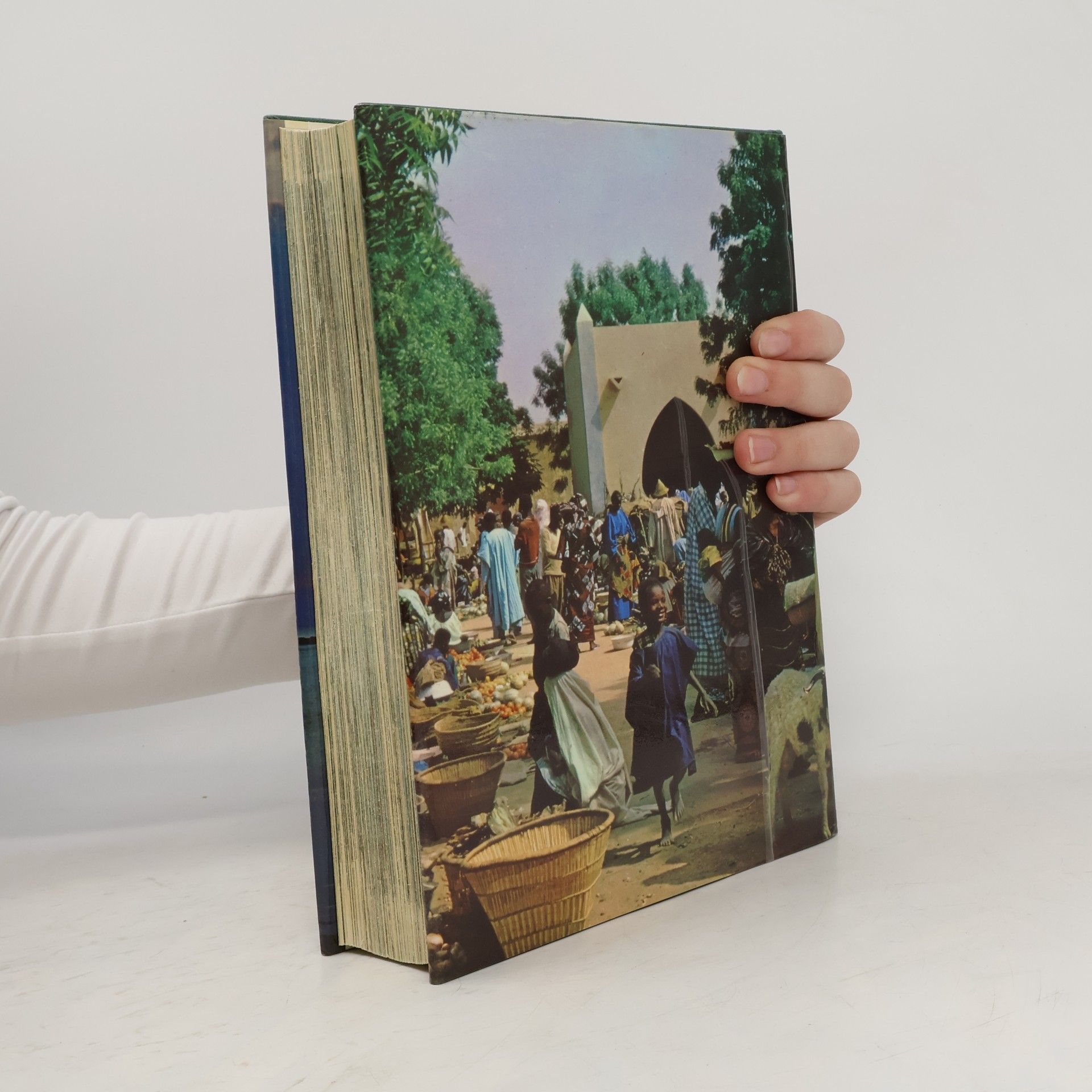 The Children's Picture Atlas in Colour: Revised Edition