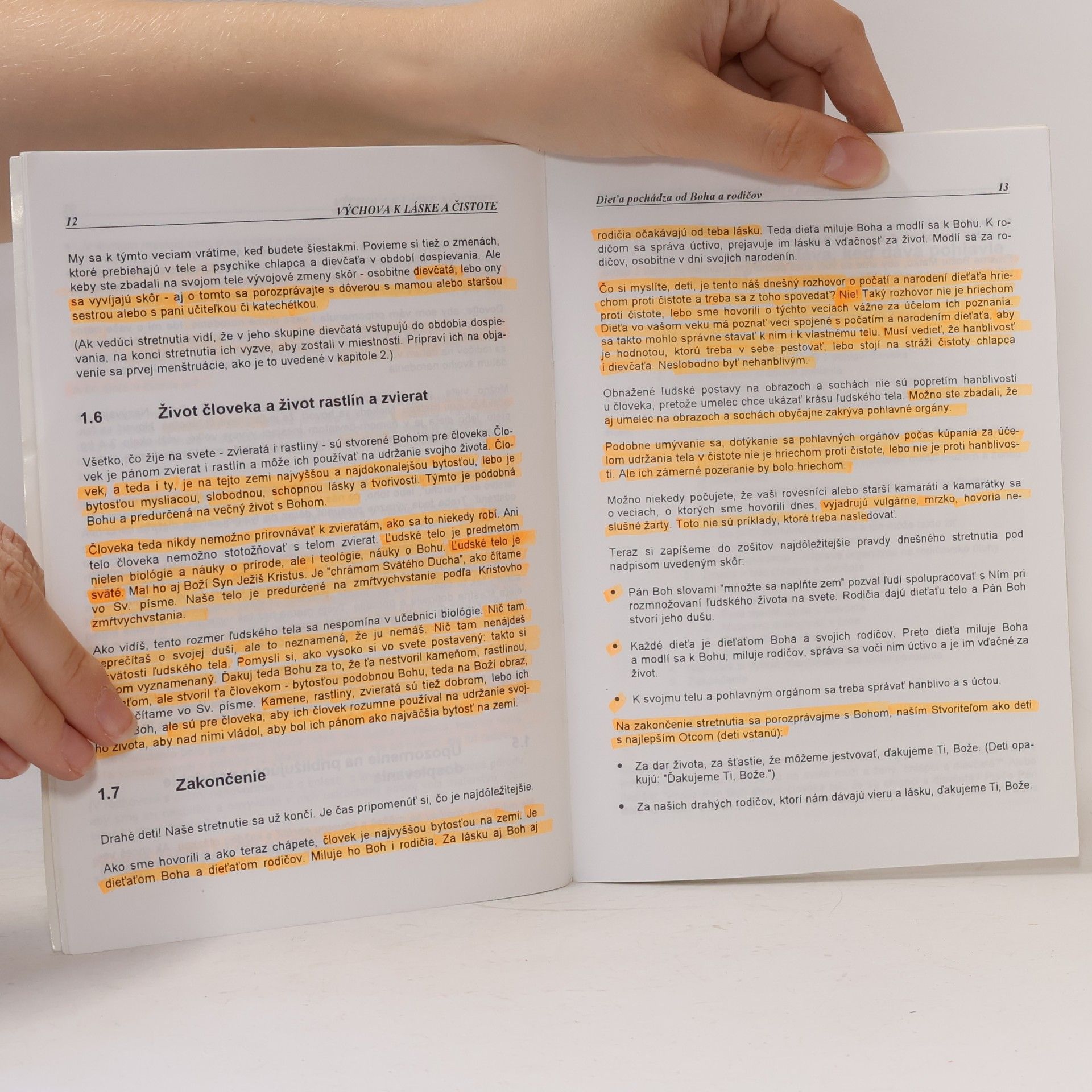 Autorenkollektiv Výchova k láske a čistote