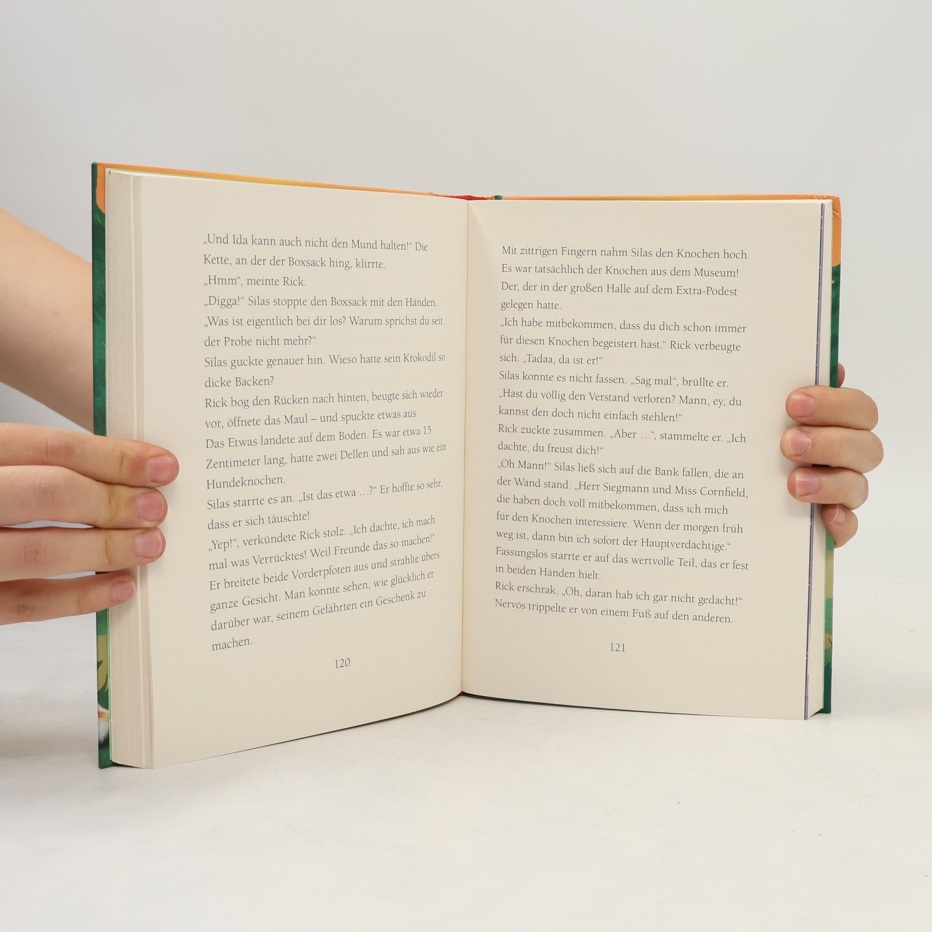 Margit Auer Die Schule der magischen Tiere 3: Das Buch zum Film