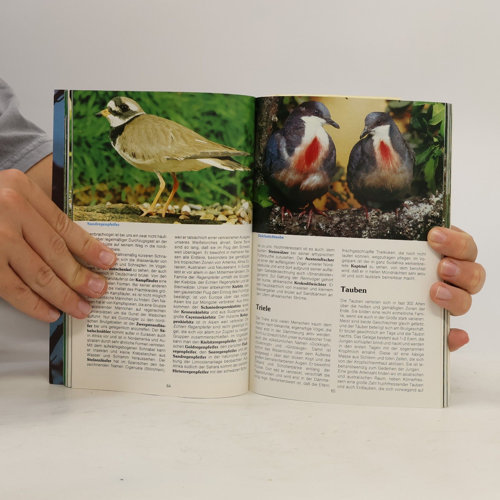 Collectif d'auteurs Vogelpark Walsrode