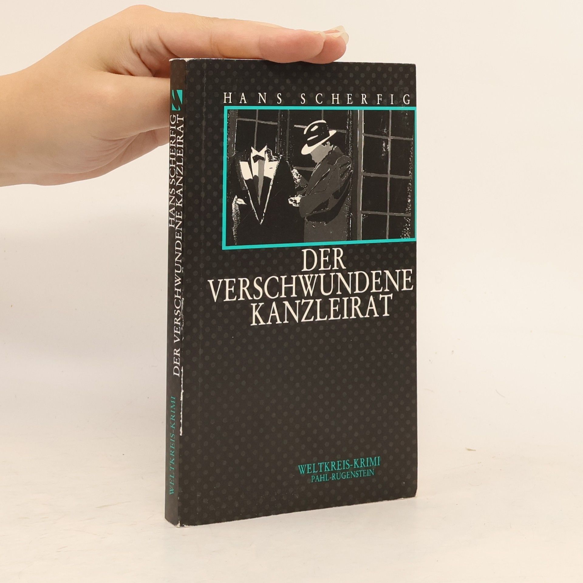 Der verschwundene Kanzleirat. Kriminalroman