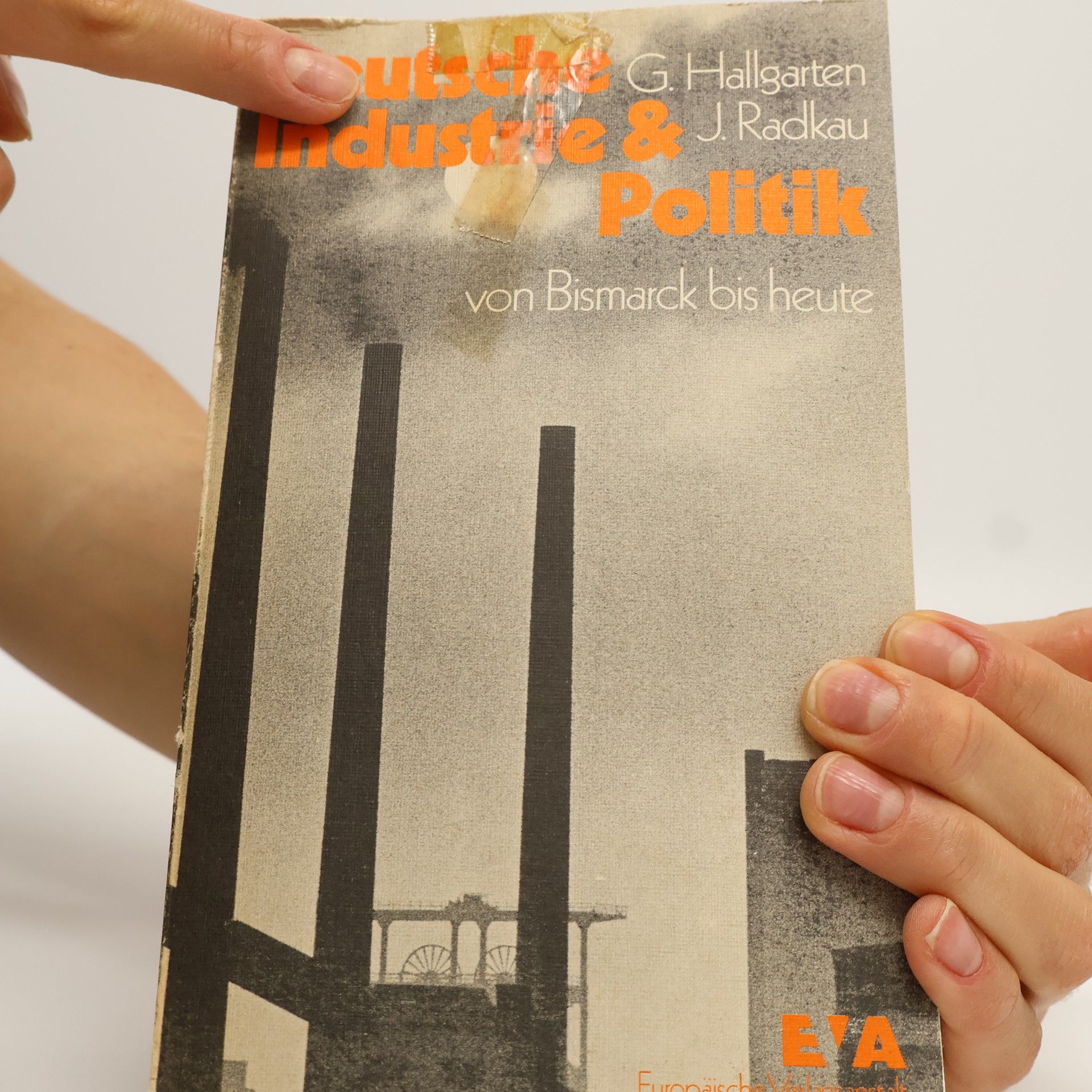 George W. F. Hallgarten Deutsche Industrie und Politik von Bismarck bis heute