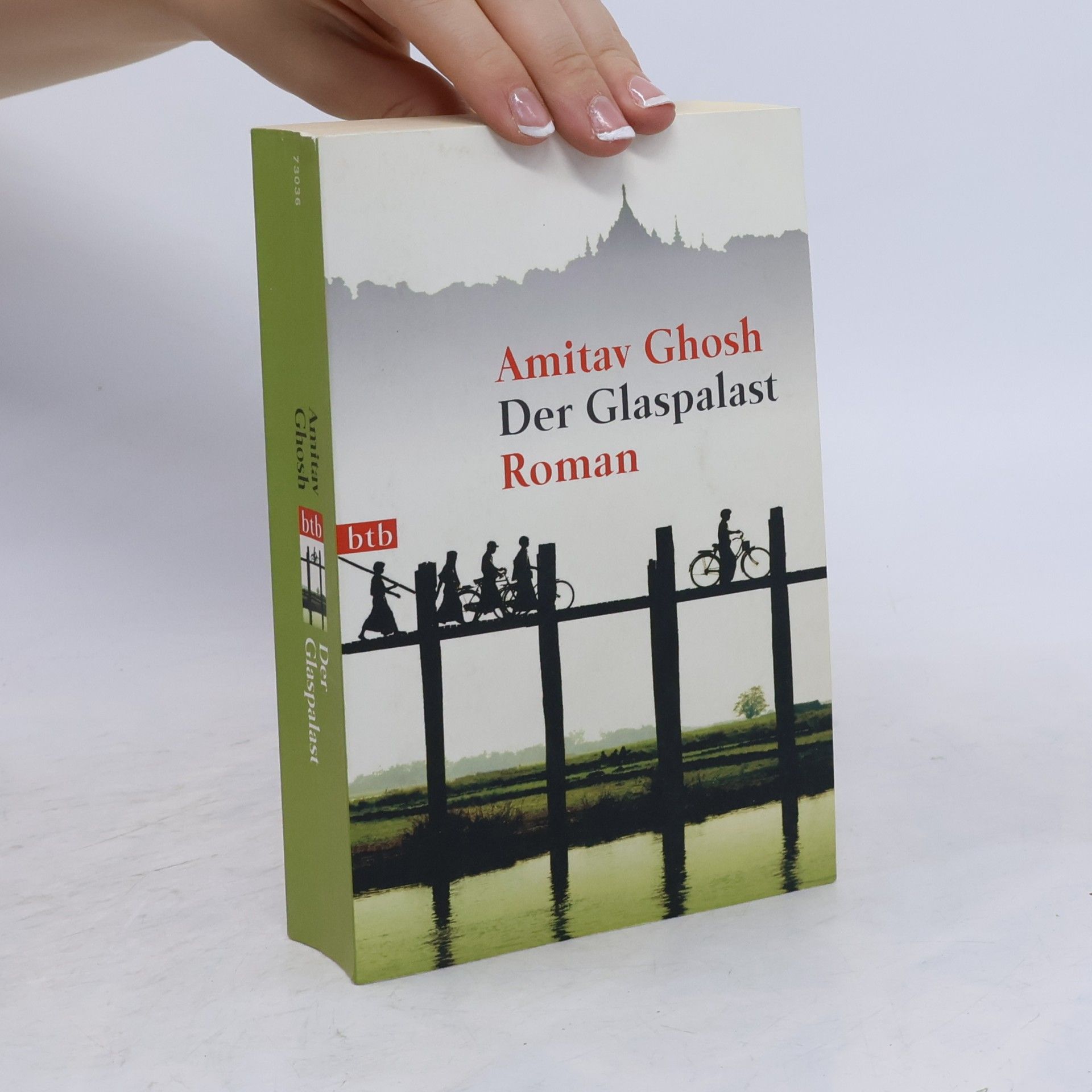 Amitav Ghosh Der Glaspalast