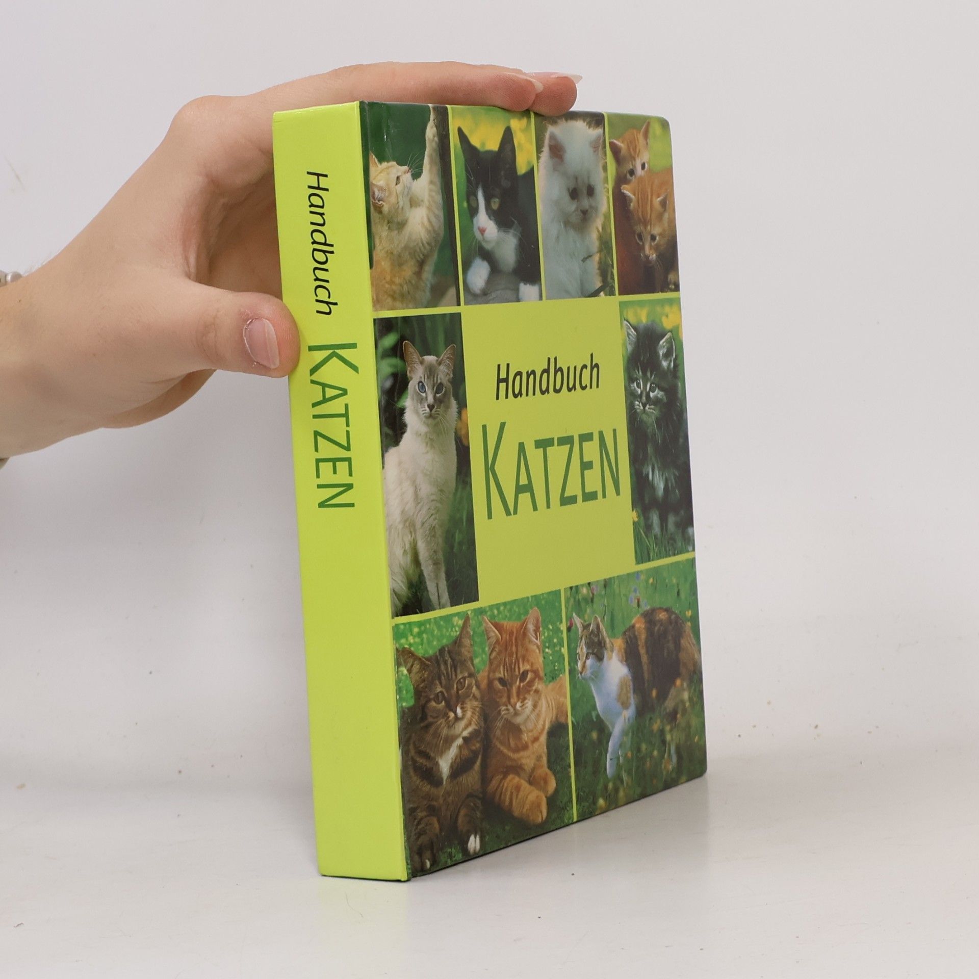 Kolektiv autorů Handbuch Katzen