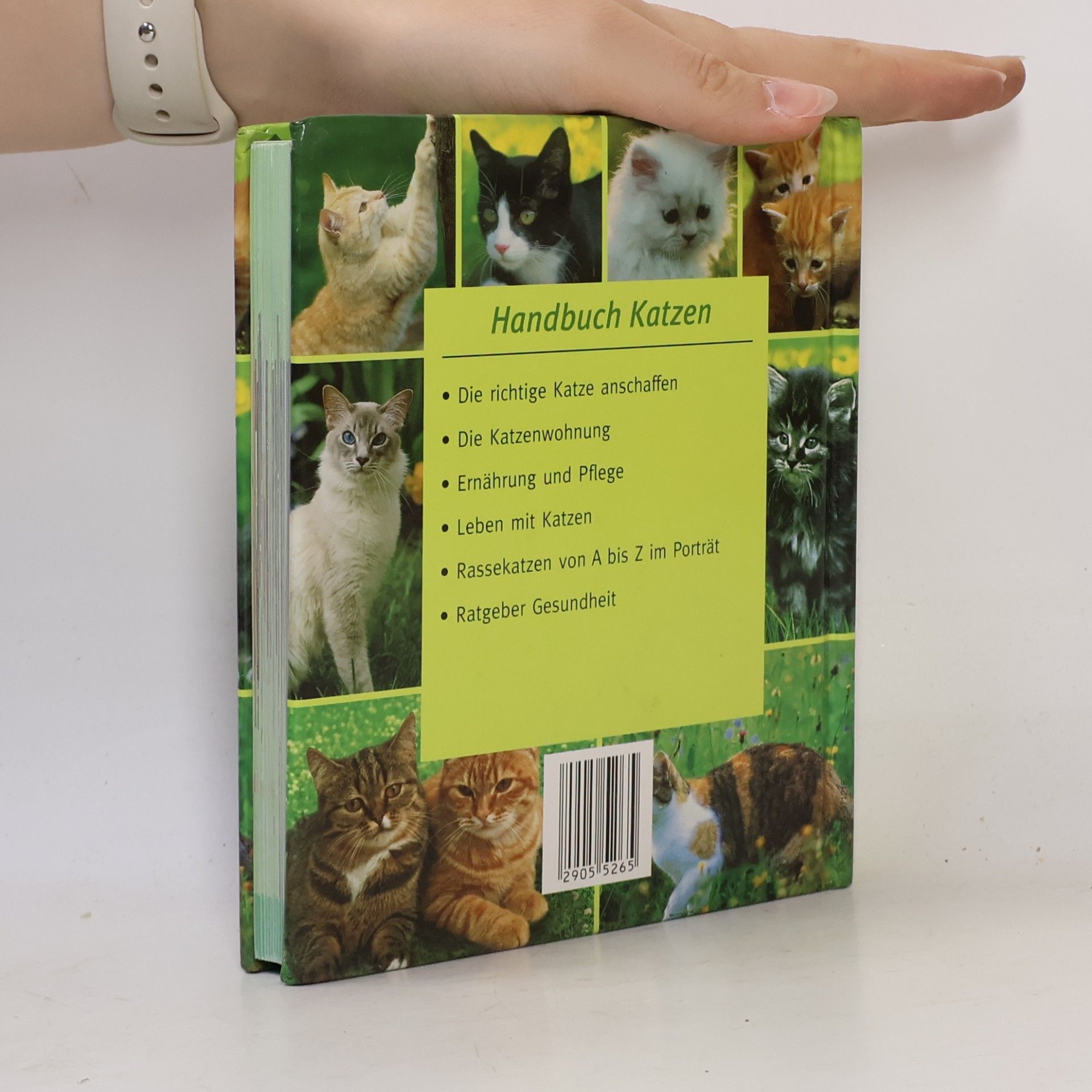 Handbuch Katzen