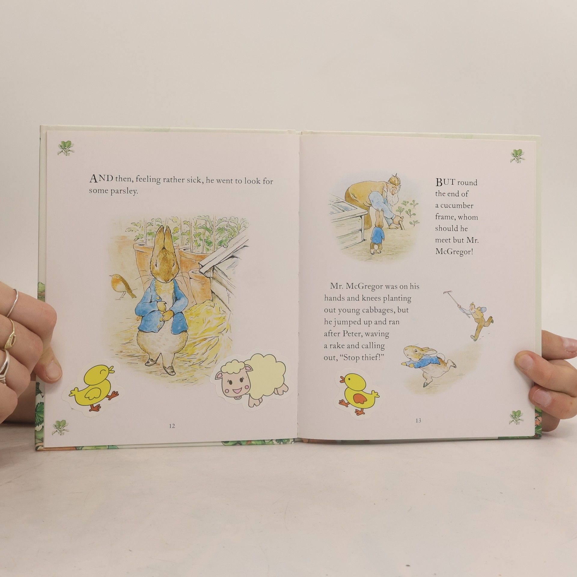 Beatrix Potter The tale of Peter Rabbit