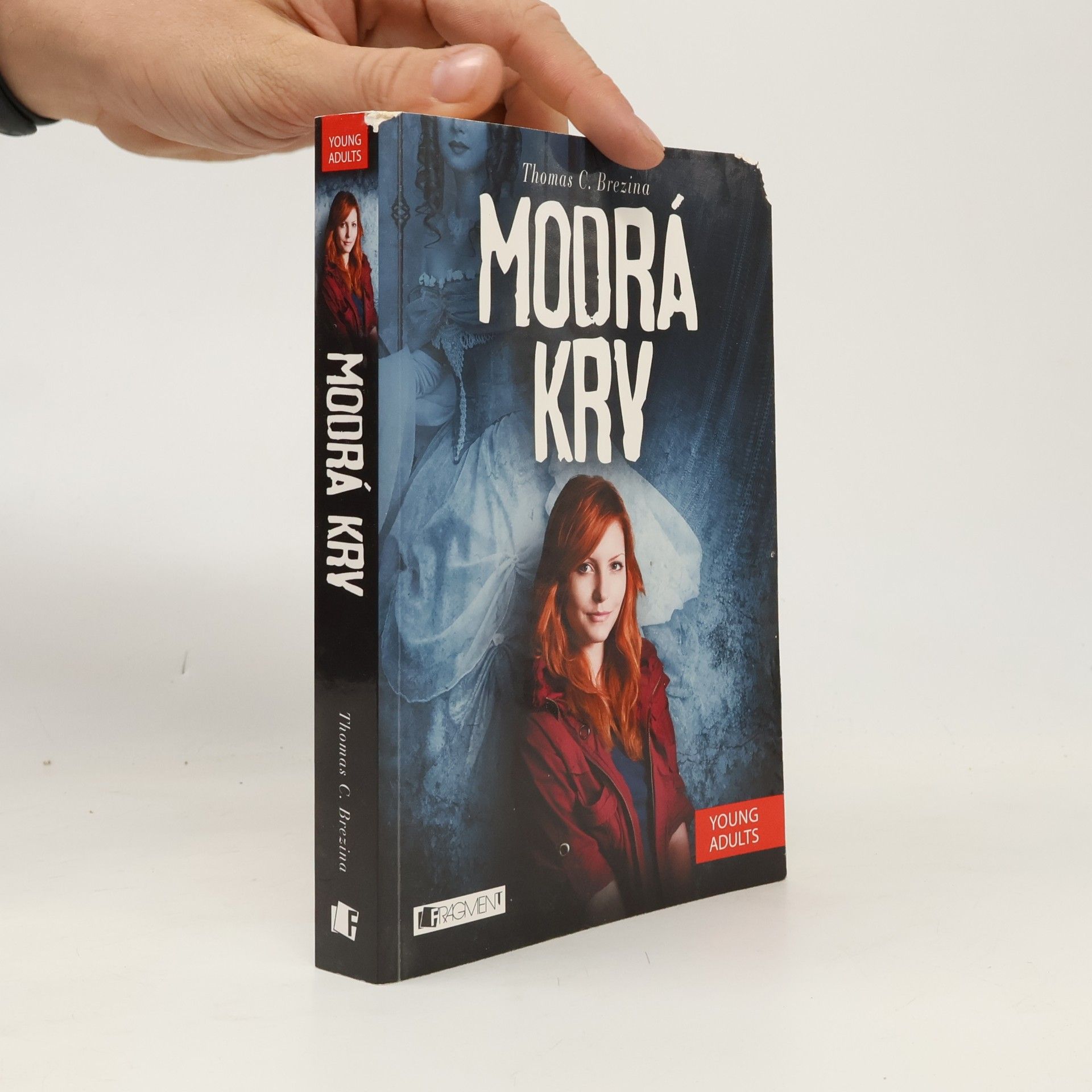 Thomas Brezina Modrá krv