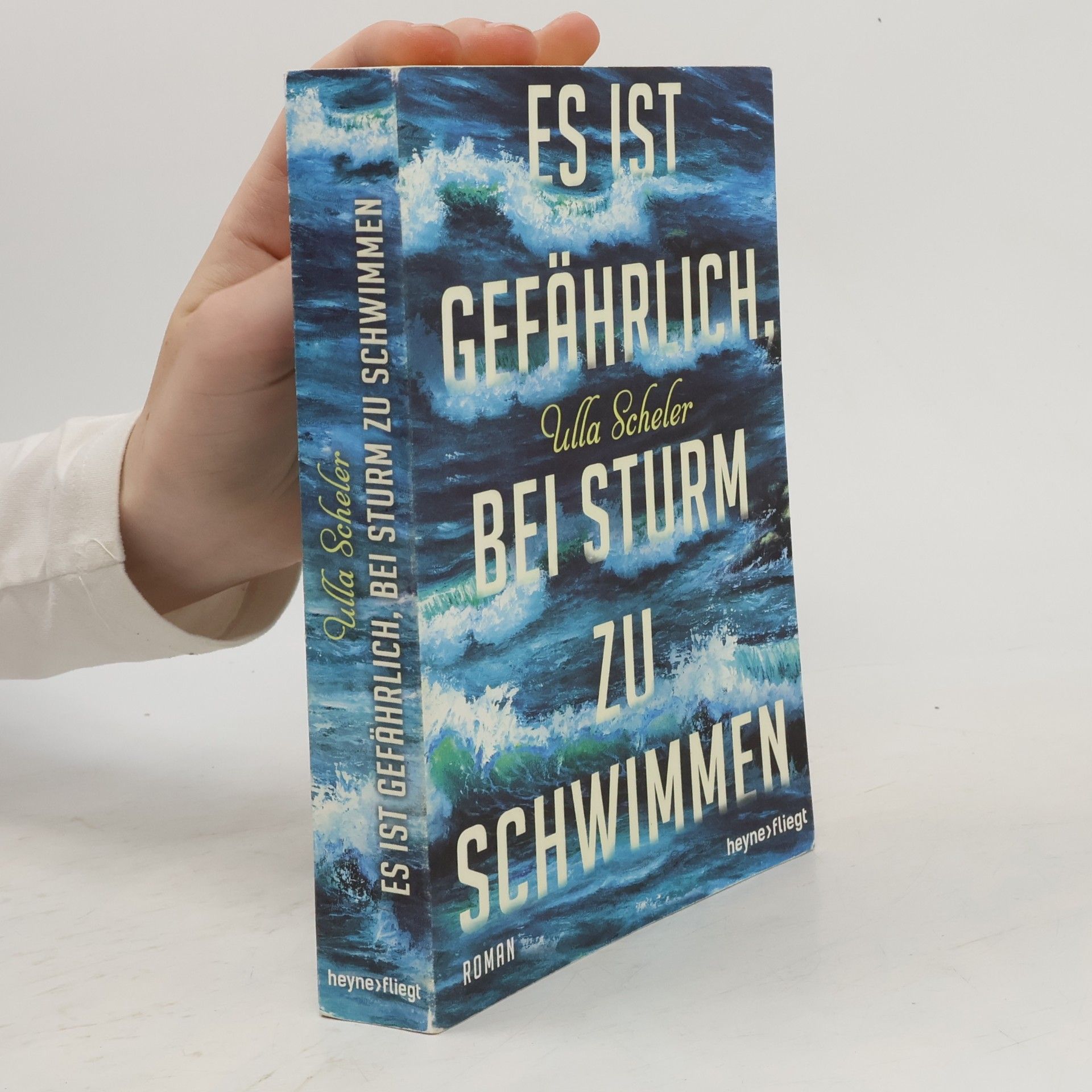 Ulla Scheler Es ist gefährlich, bei Sturm zu schwimmen