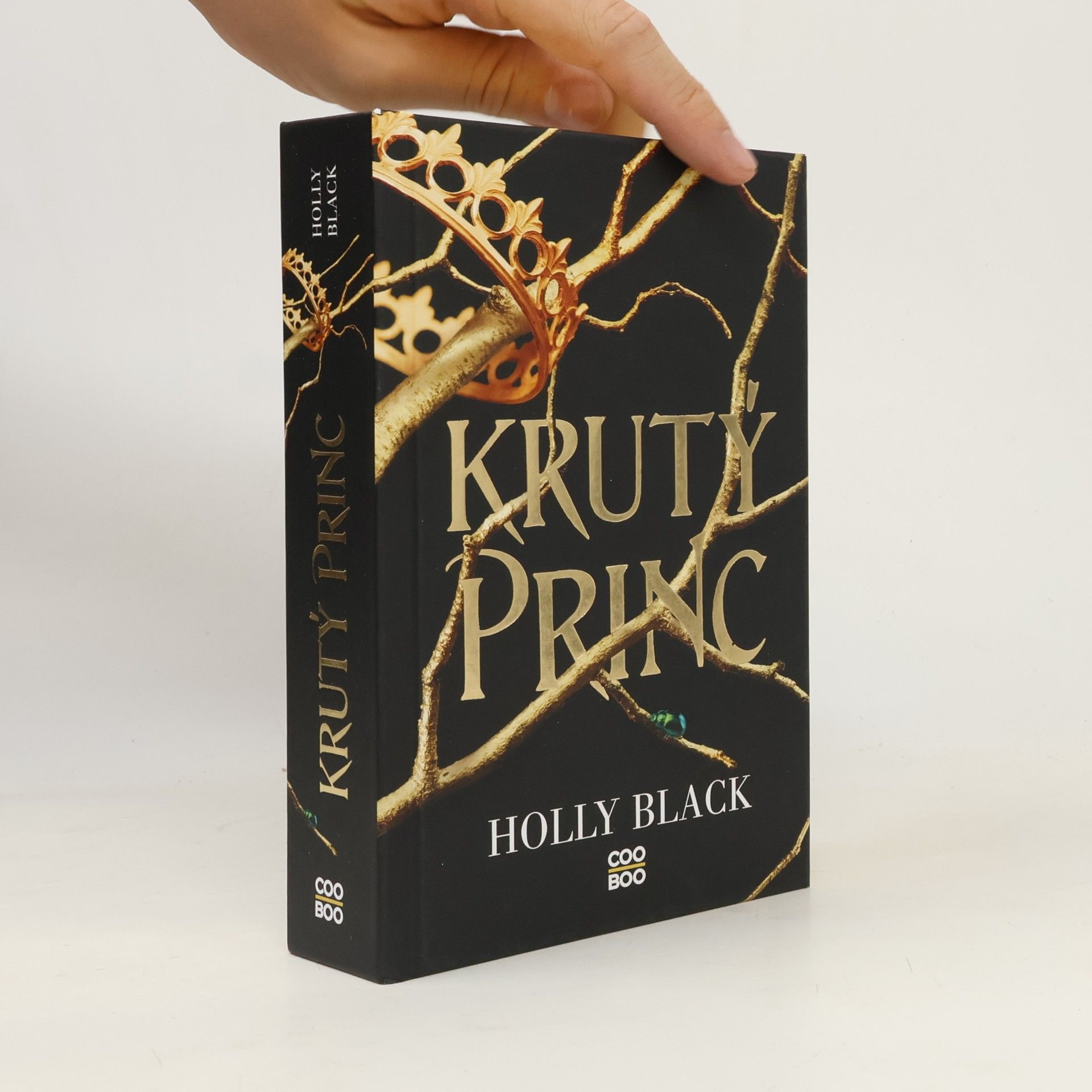 Holly Black Krutý princ