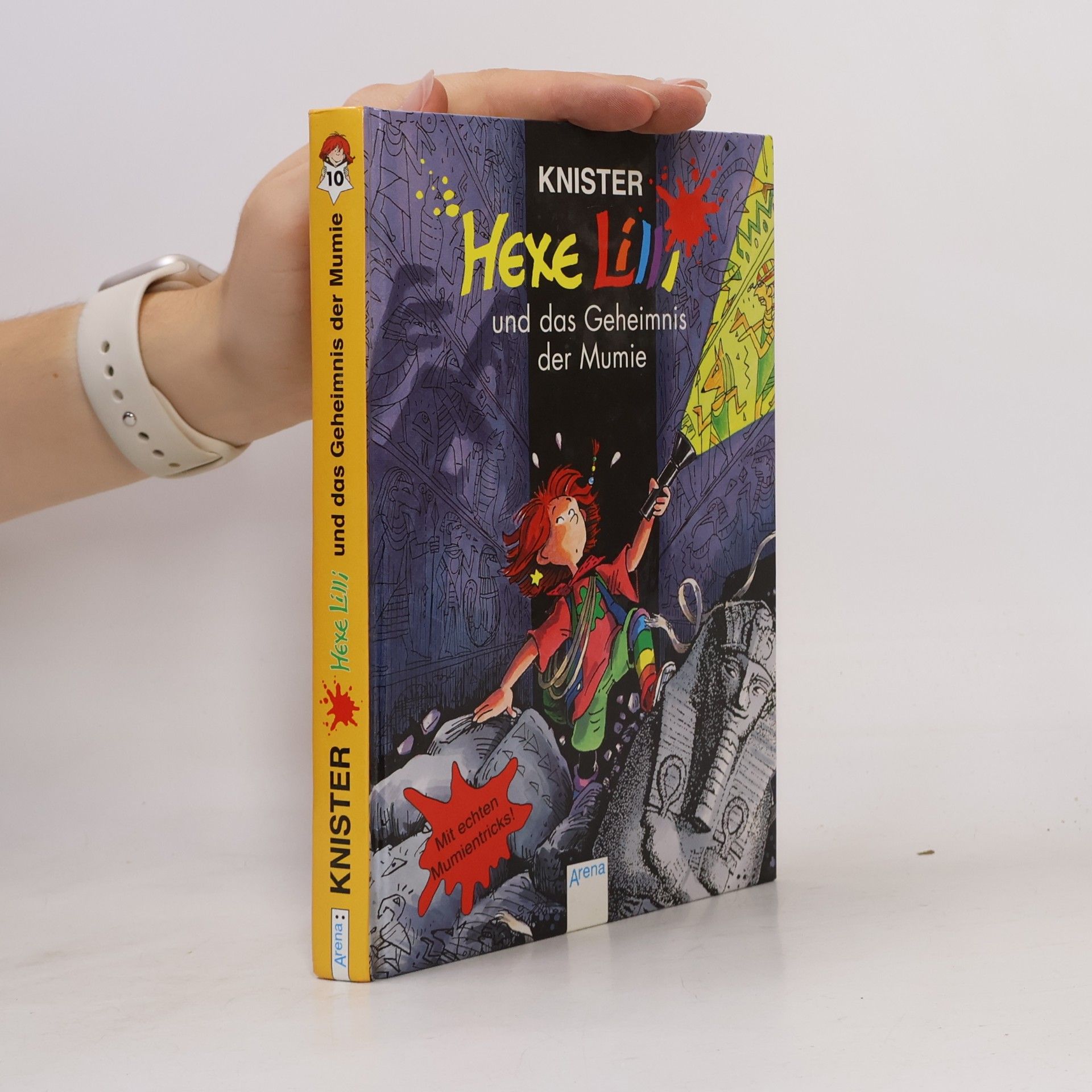 Knister Hexe Lilli und das Geheimnis der Mumie