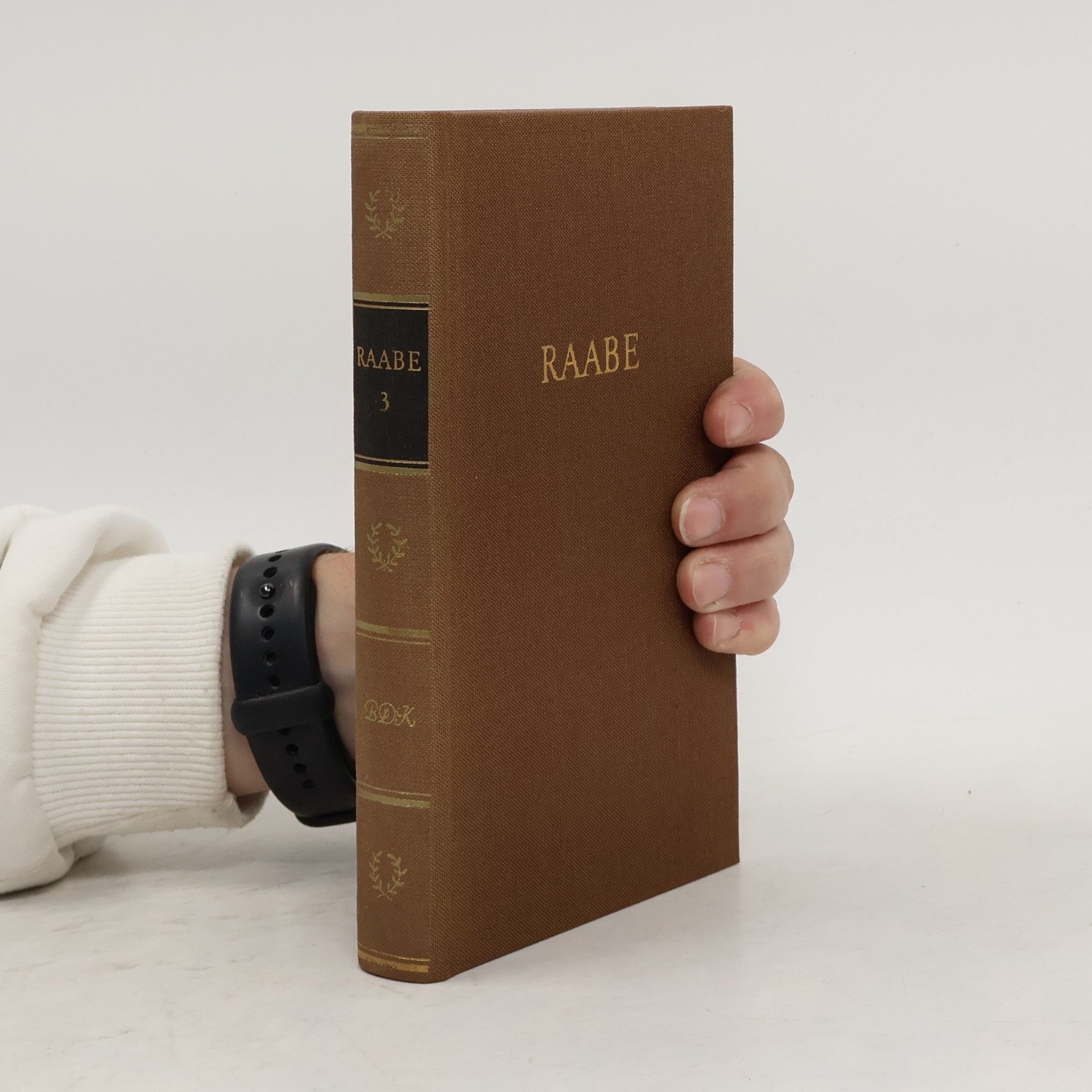Marc Raabe Raabe 3