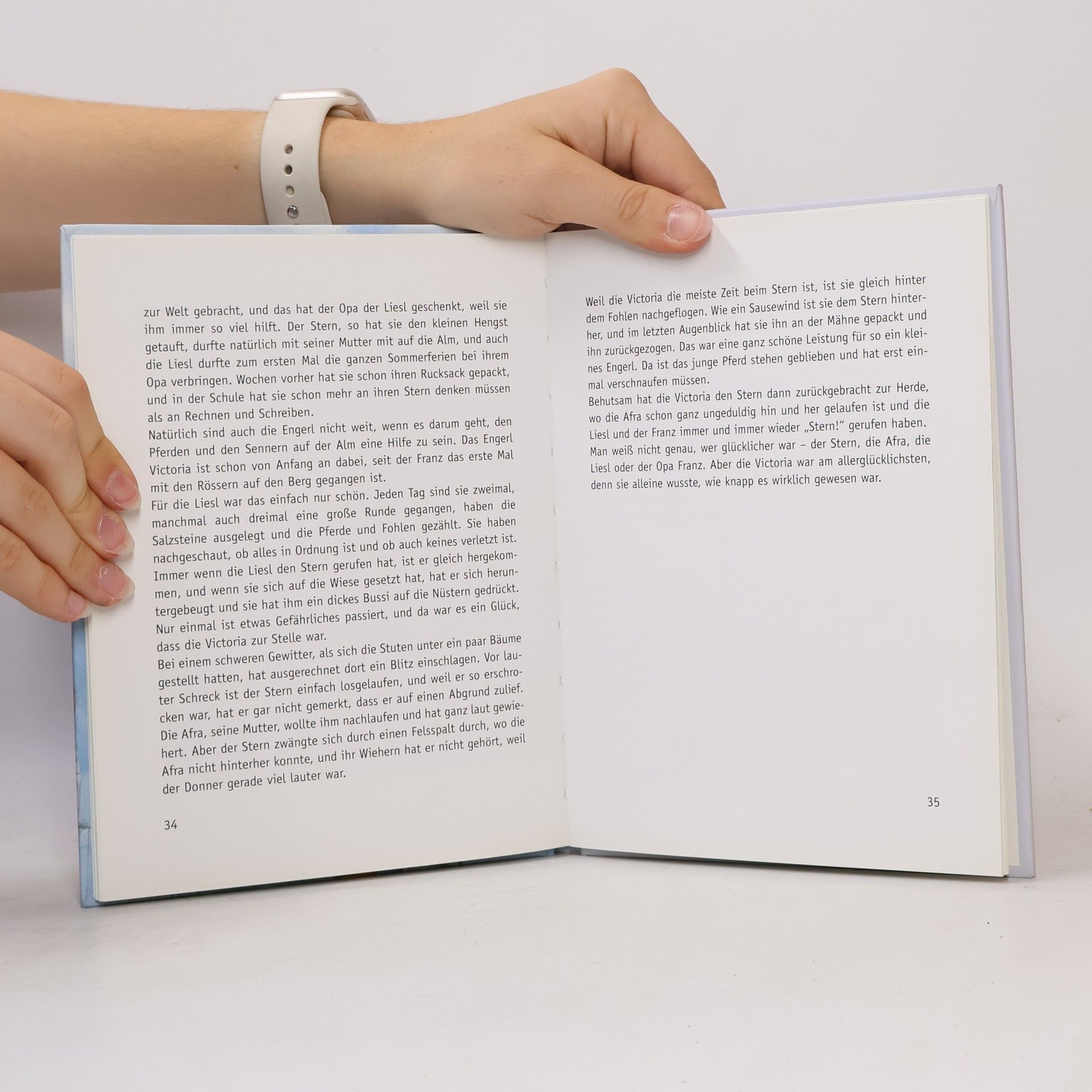 Anita Türk Österreichisches Engerlbuch