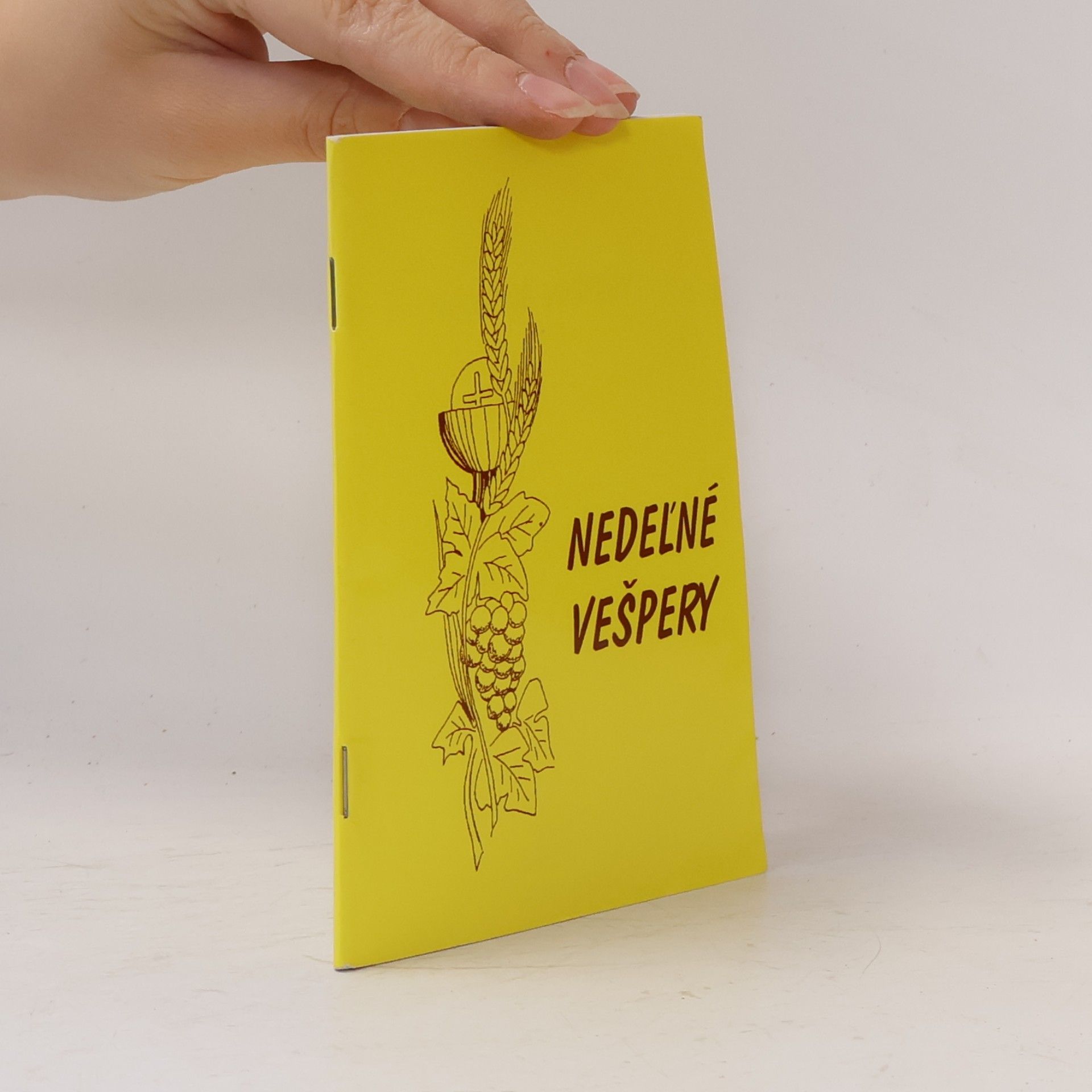Autorenkollektiv Nedeľné vešpery dotlač