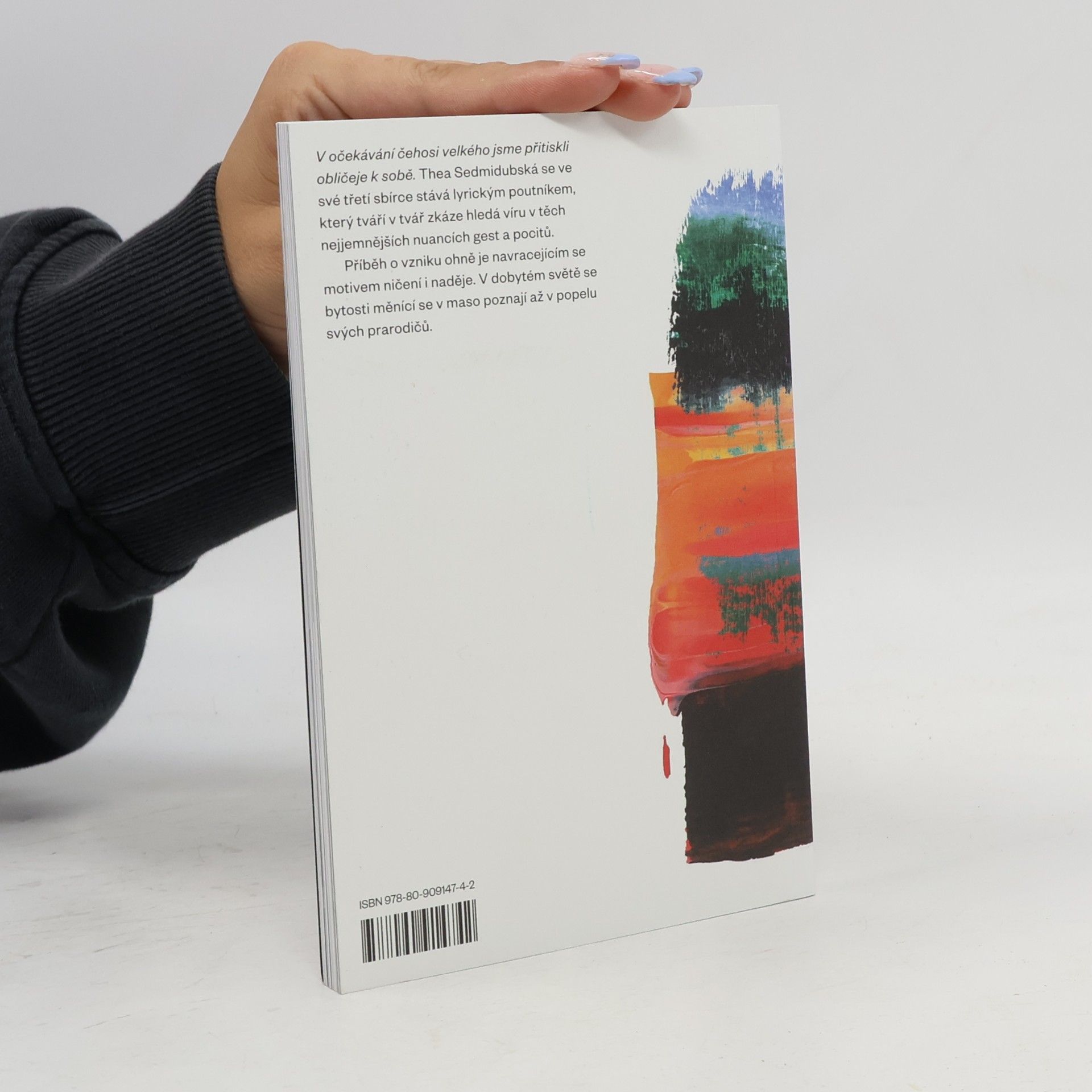 Thea Sedmidubská Půjdeme lesem, kde zrovna hoří