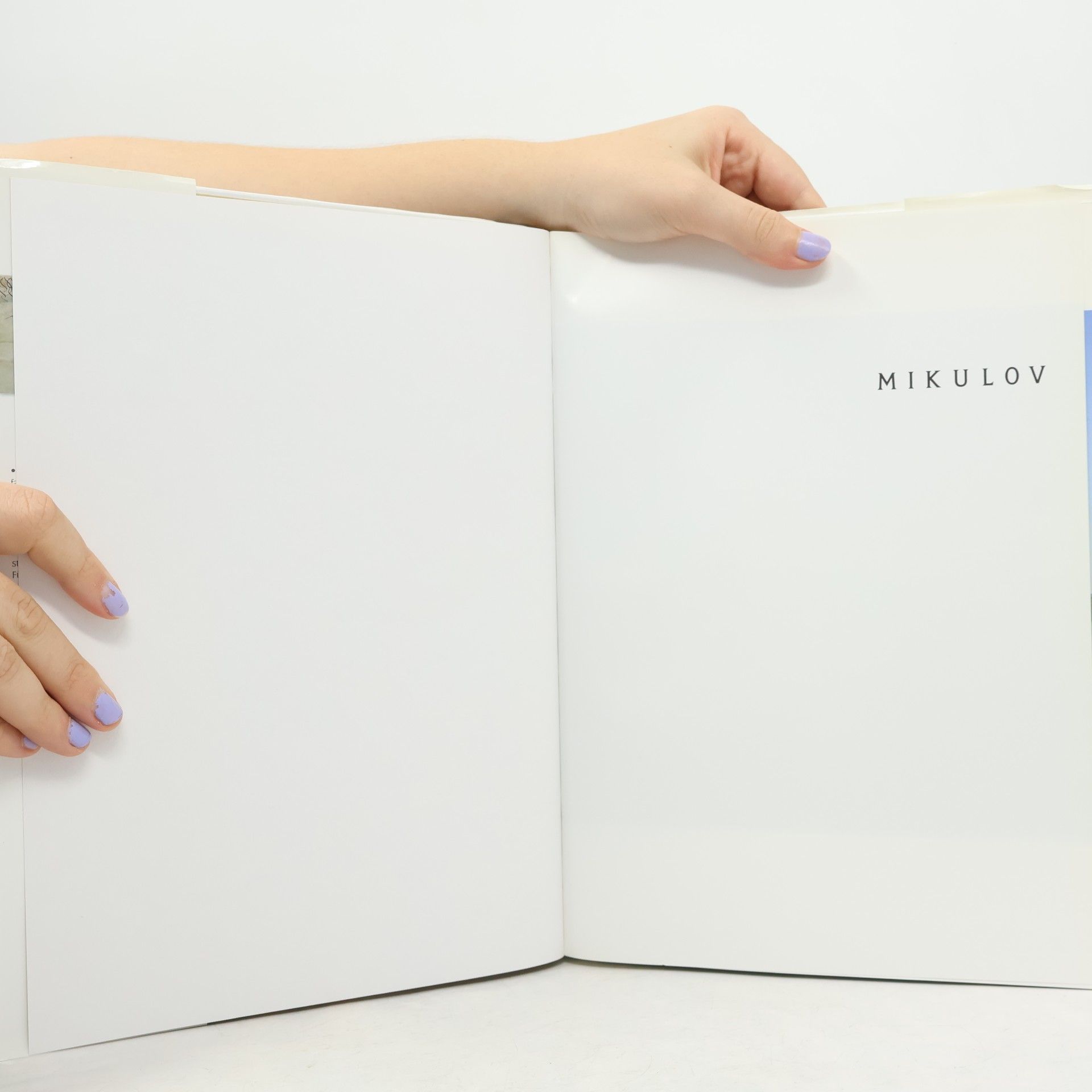 kolektiv Mikulov