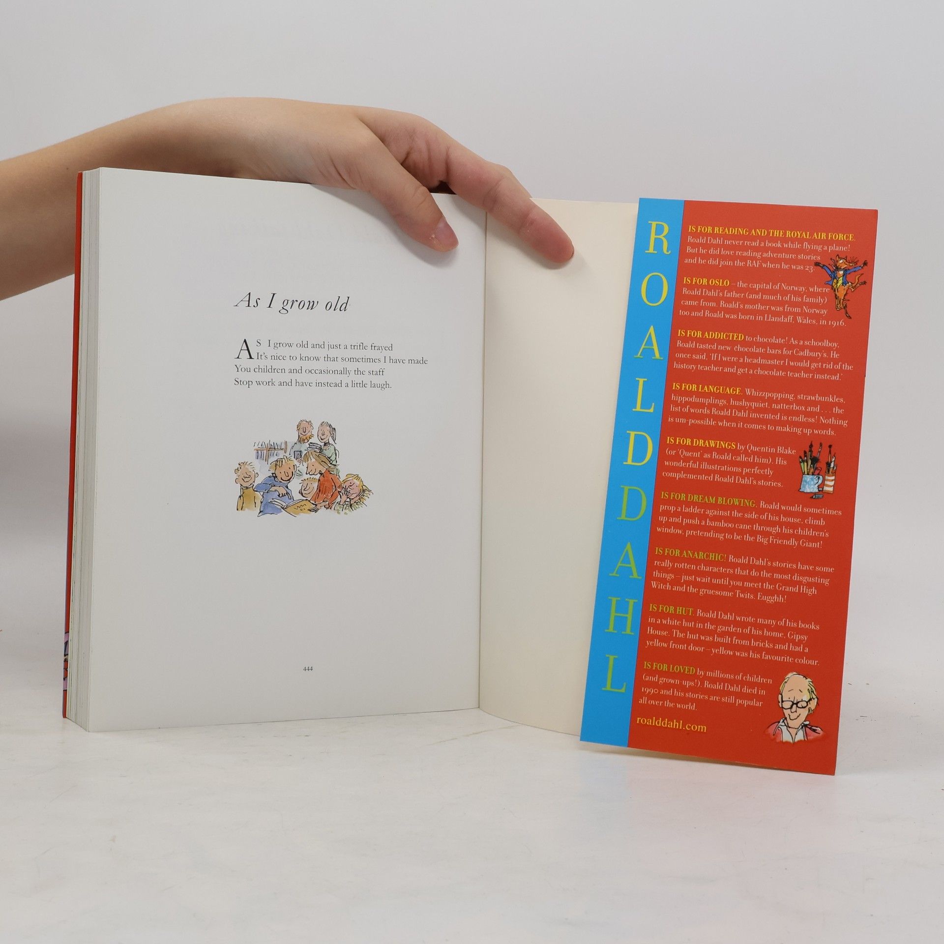 Roald Dahl The Roald Dahl treasury