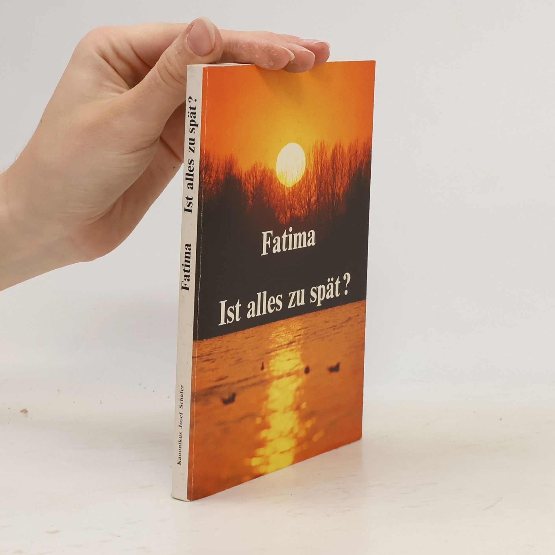 Josef Schäfer Fatima. Ist alles zu spät?