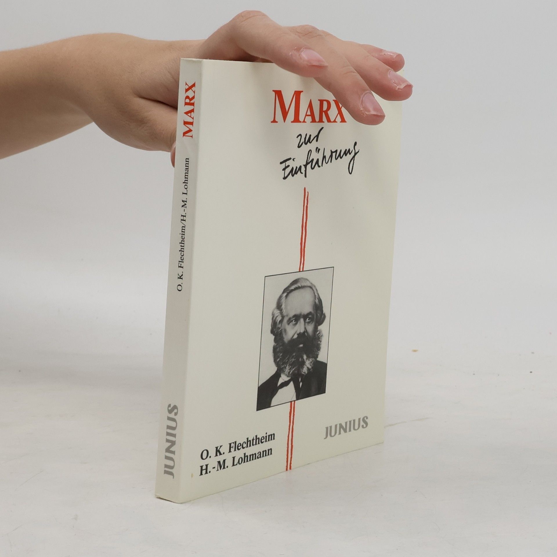 Marx zur Einführung