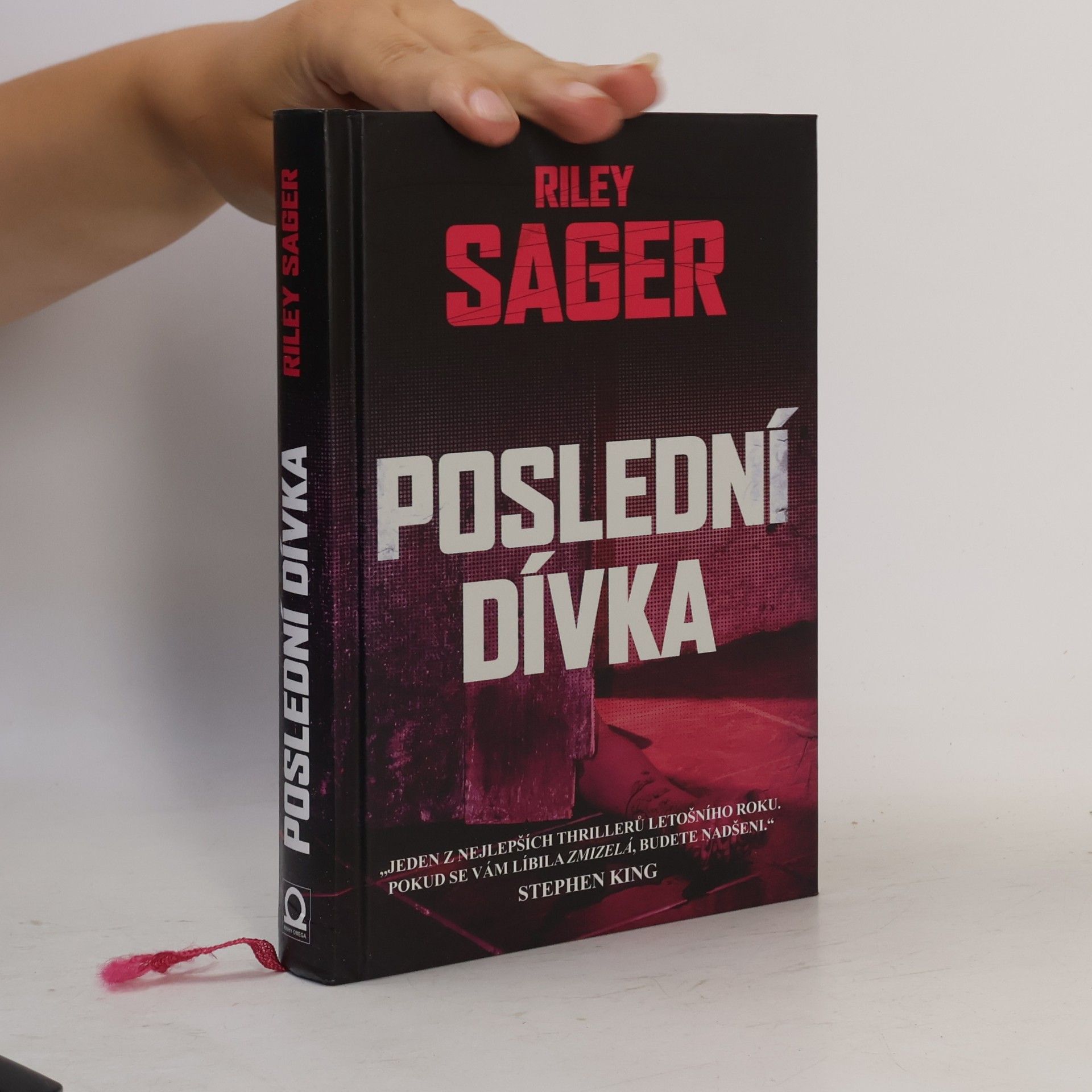Todd Ritter Poslední dívka