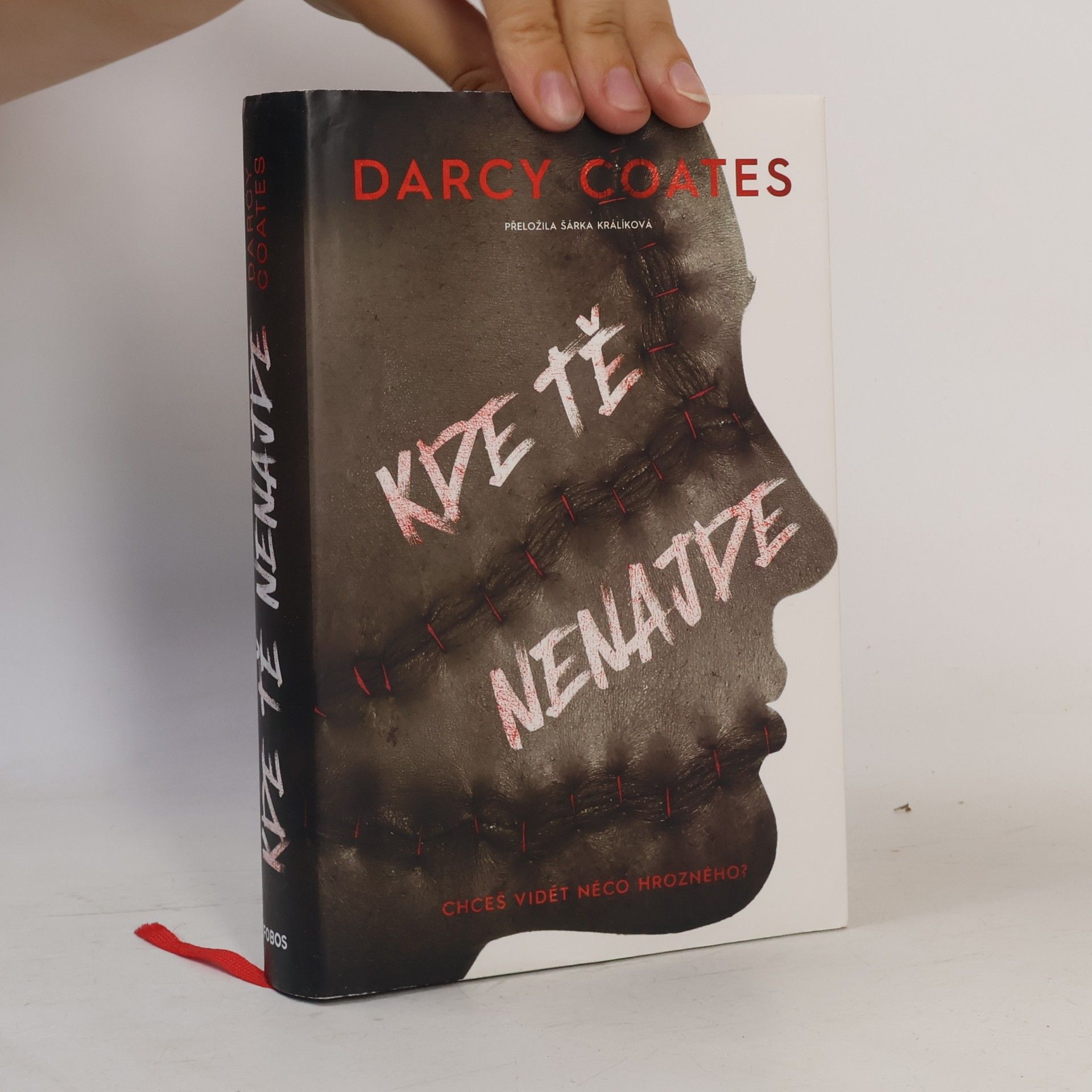 Darcy Coates Kde tě nenajde