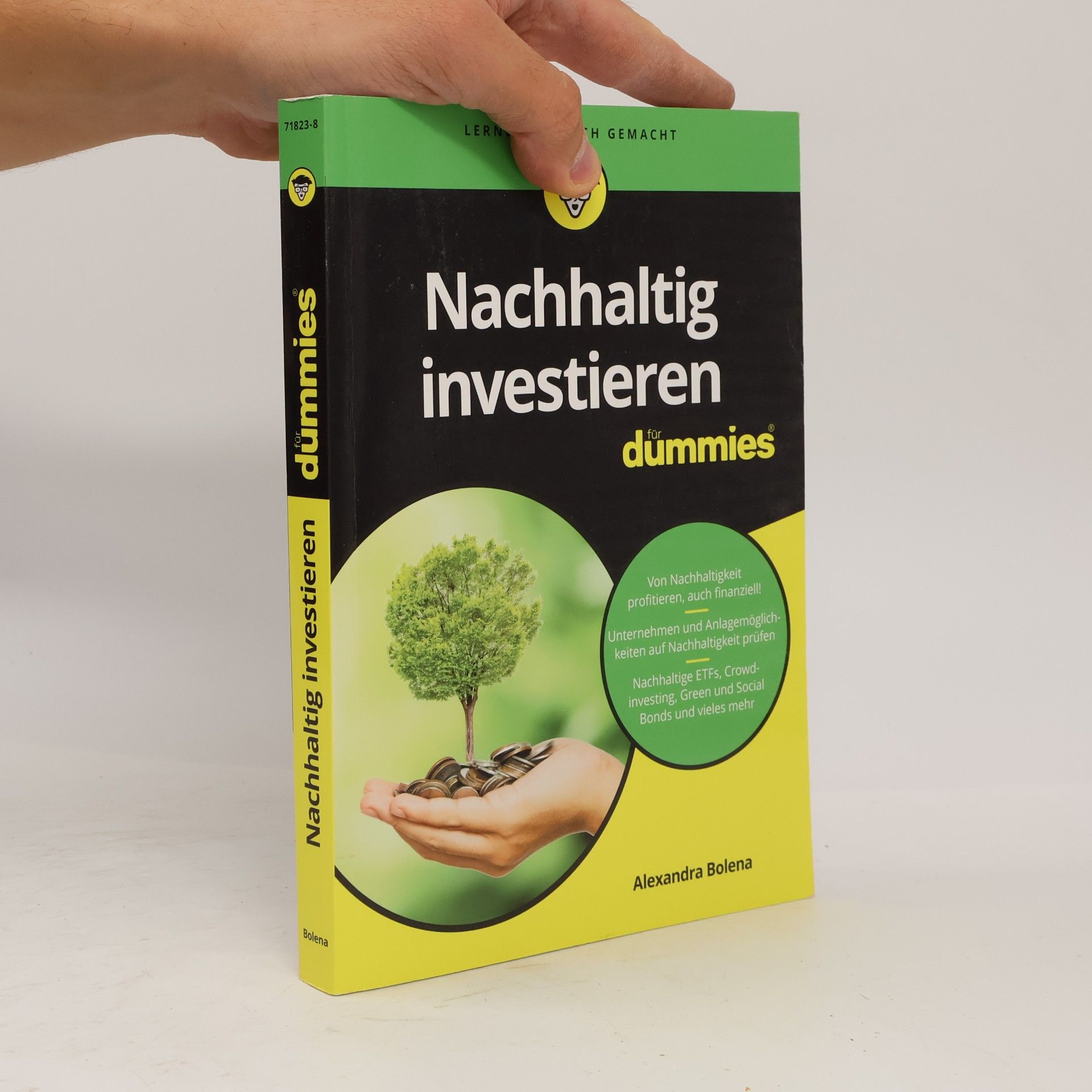 Alexandra Bolena Nachhaltig investieren für Dummies