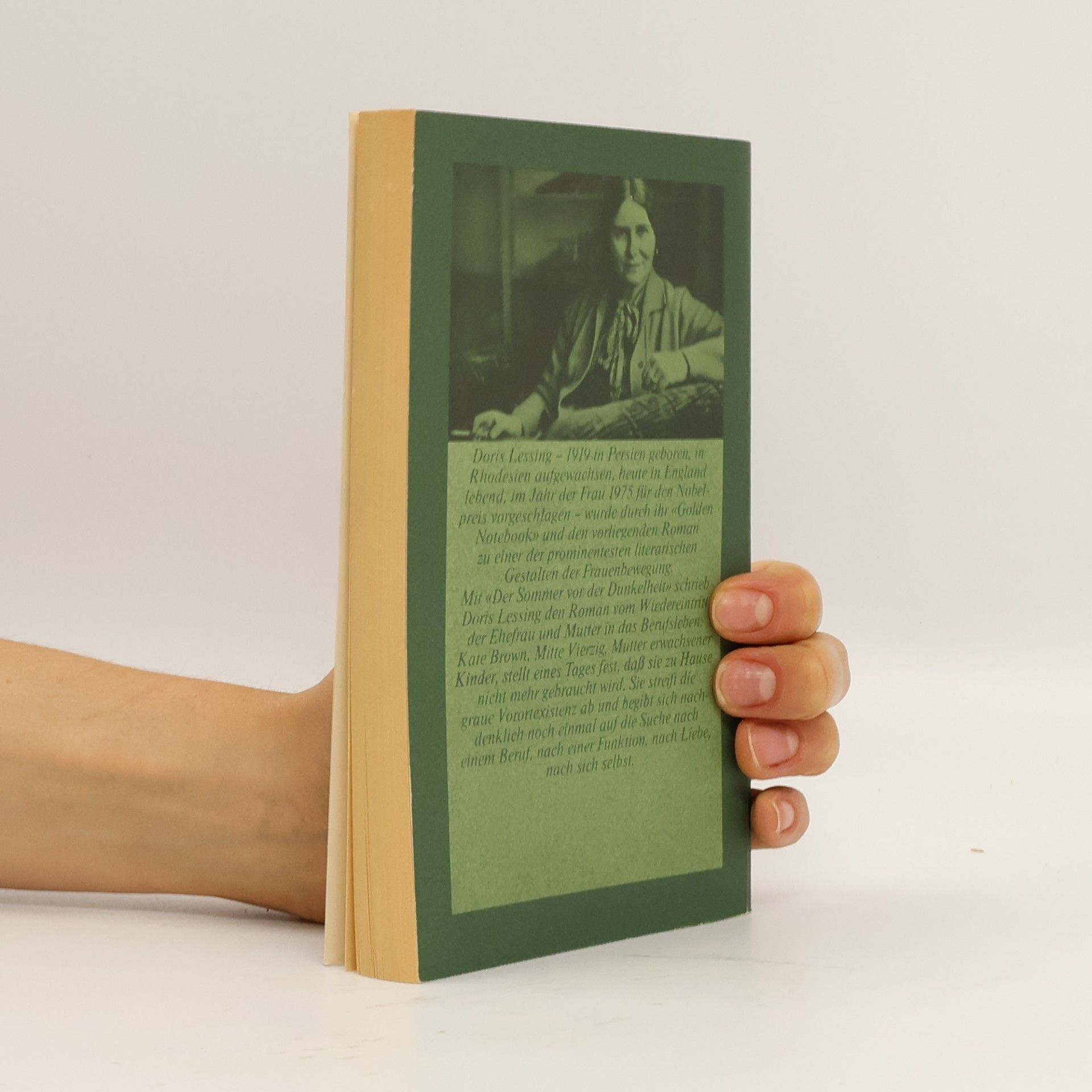 Doris Lessing Der Sommer vor der Dunkelheit