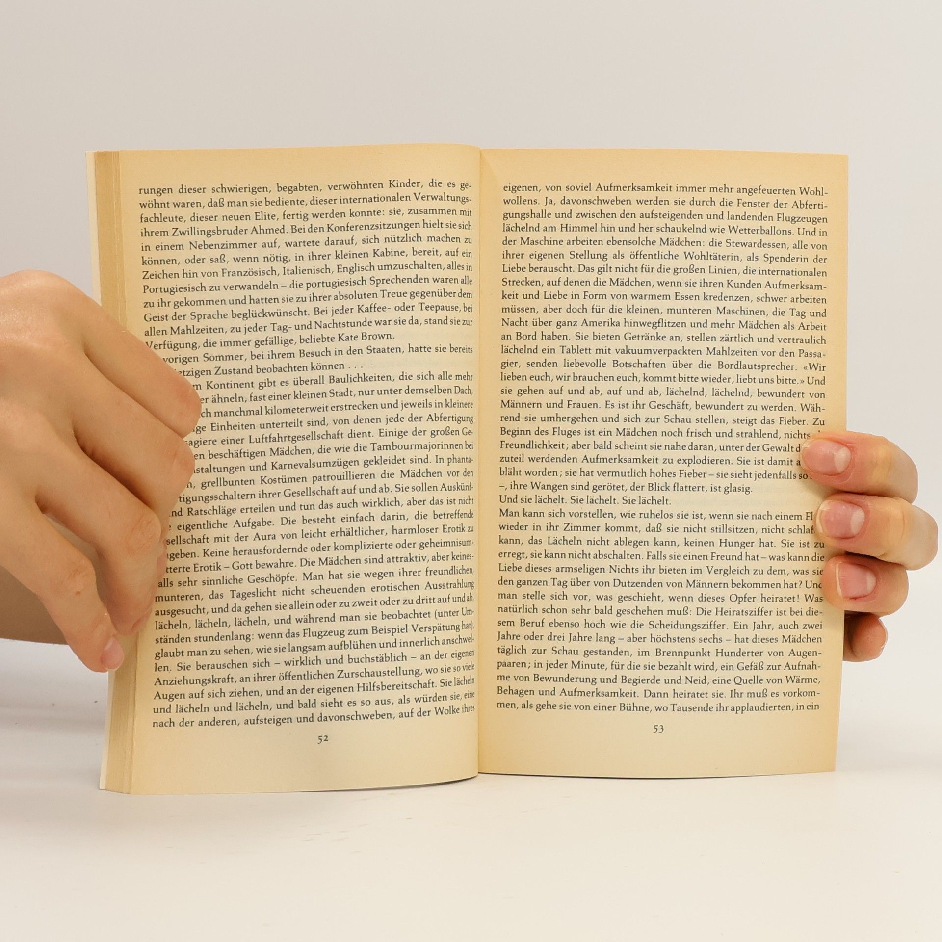 Doris Lessing Der Sommer vor der Dunkelheit