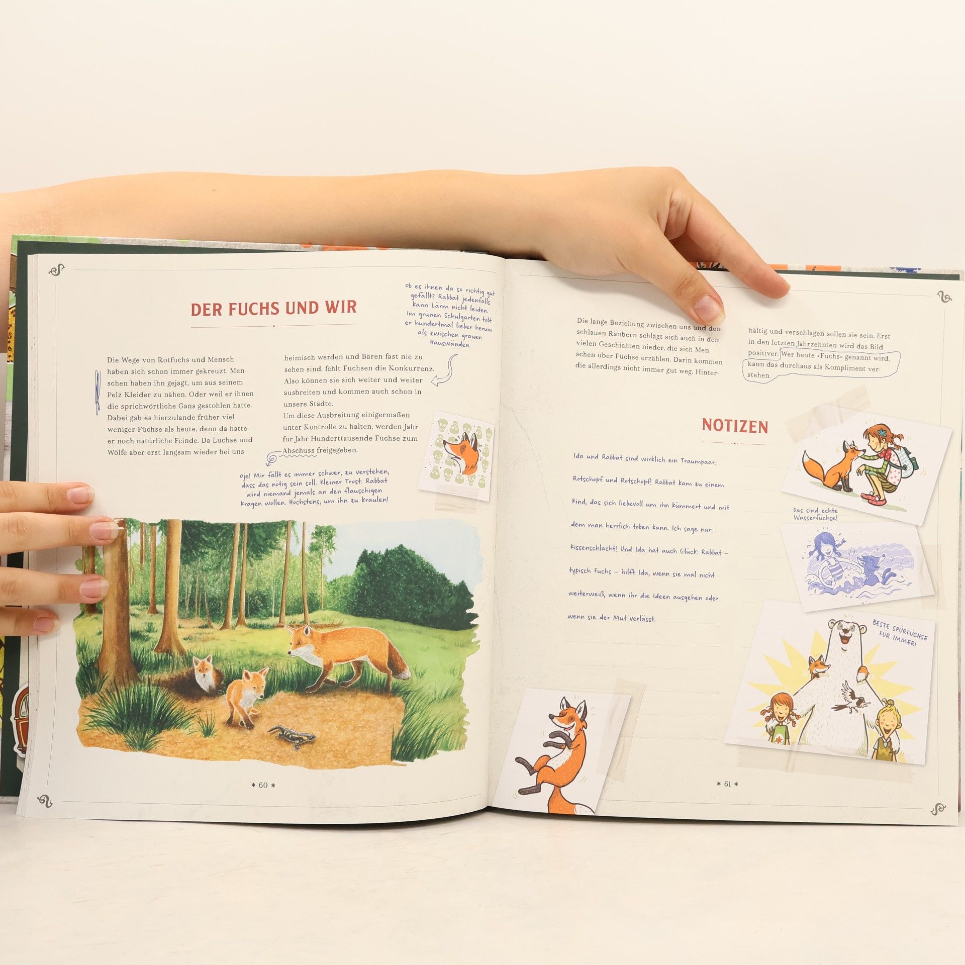 Margit Auer Die Schule der magischen Tiere: Mister Morrisons gesammeltes Tierwissen