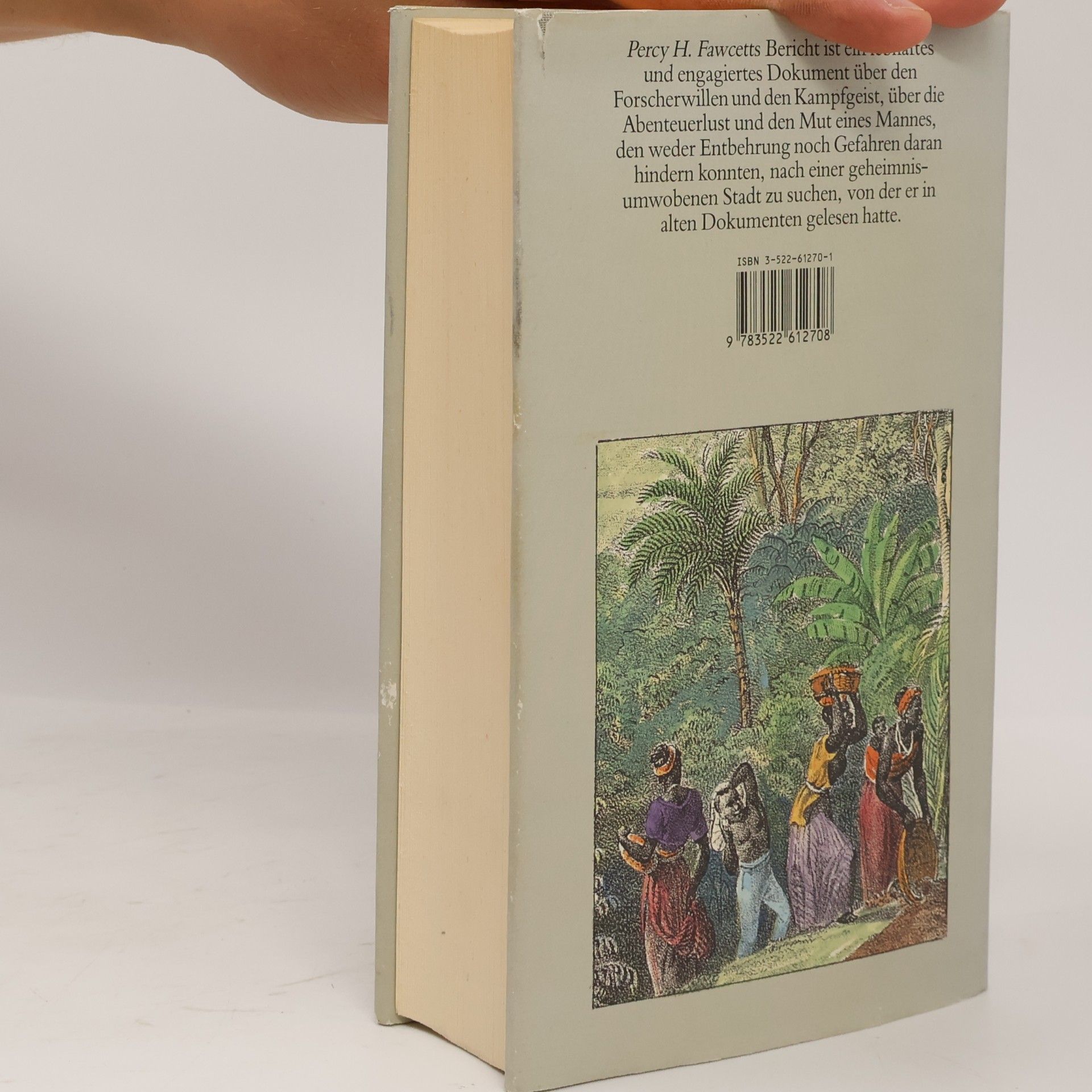 Percy Fawcett Geheimnisse im brasilianischen Urwald