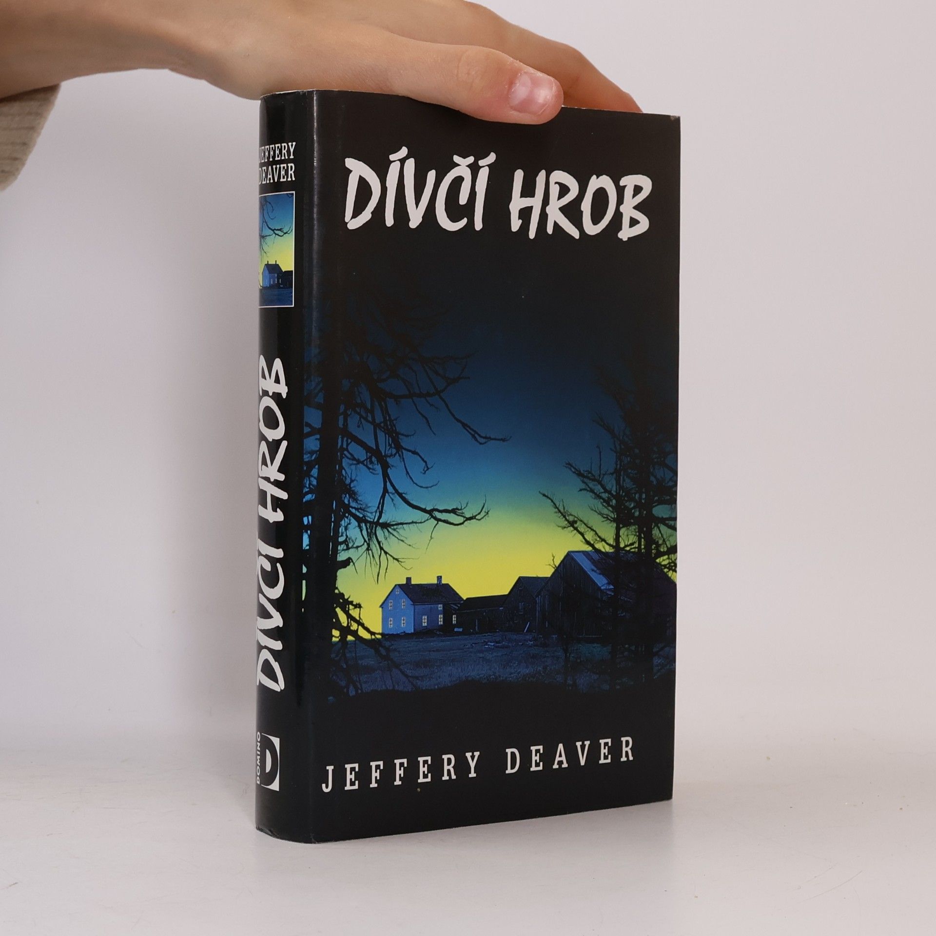 Jeffery Deaver Dívčí hrob