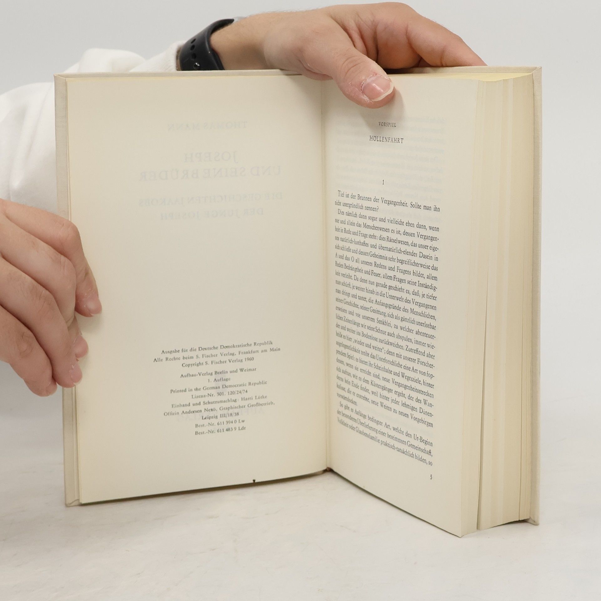 Thomas Mann Joseph und seine Brüder I.