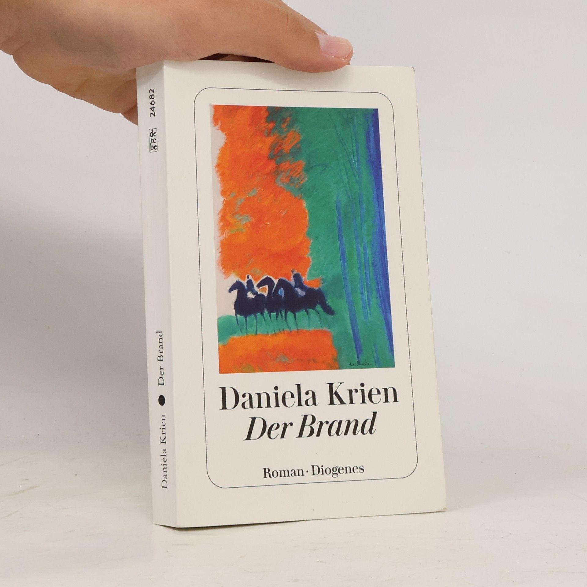 Daniela Krien Der Brand