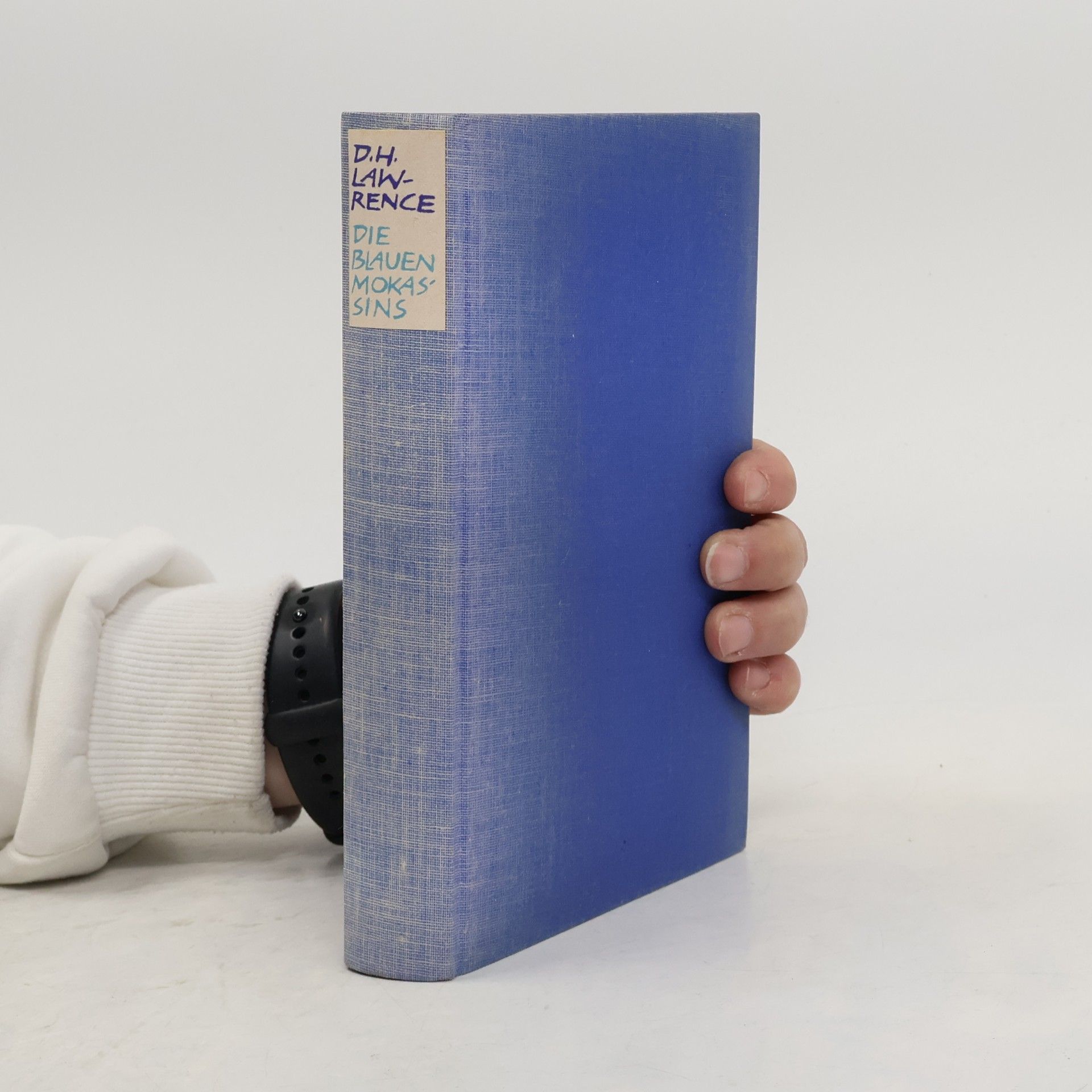 D. H. Lawrence Die blauen Mokassins