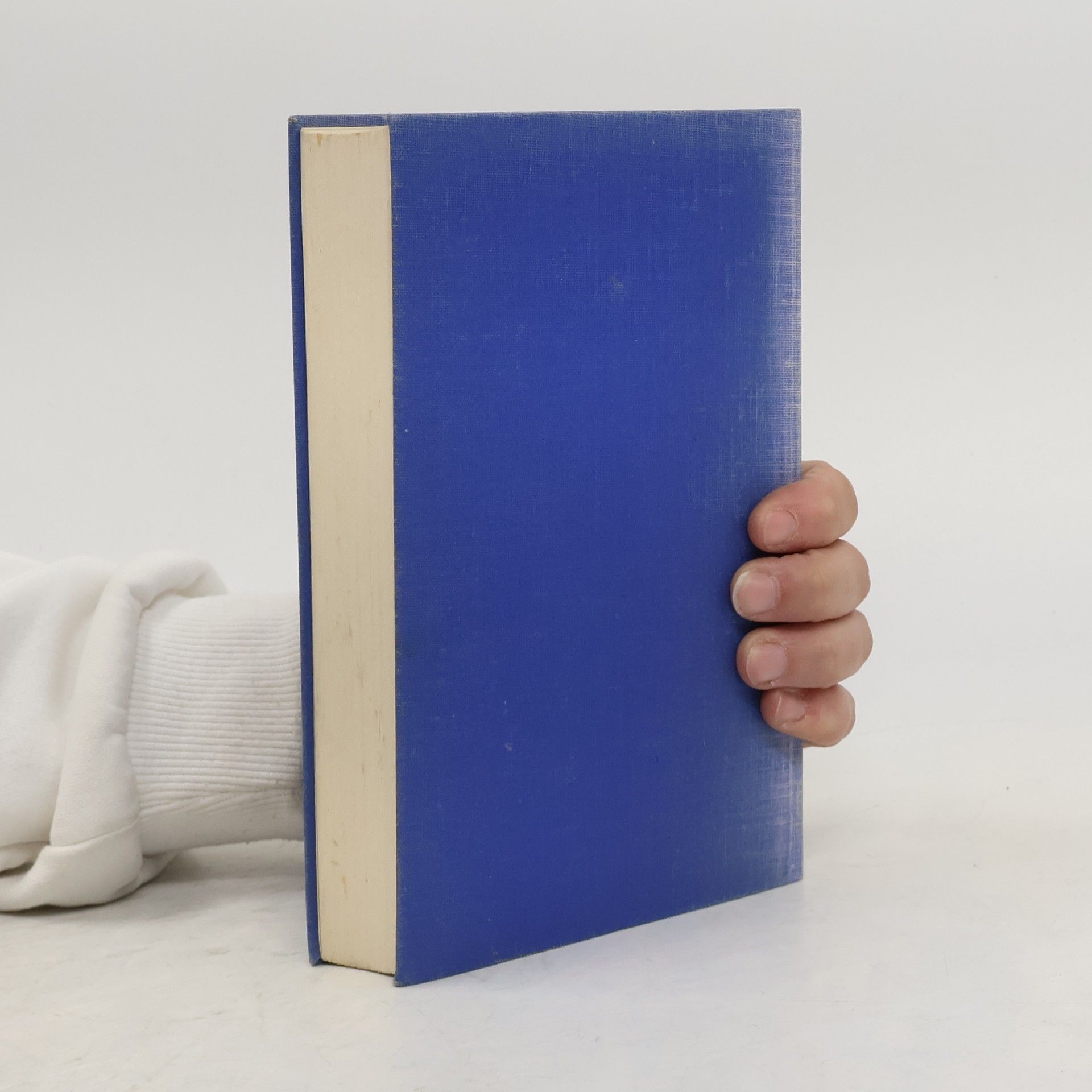D. H. Lawrence Die blauen Mokassins