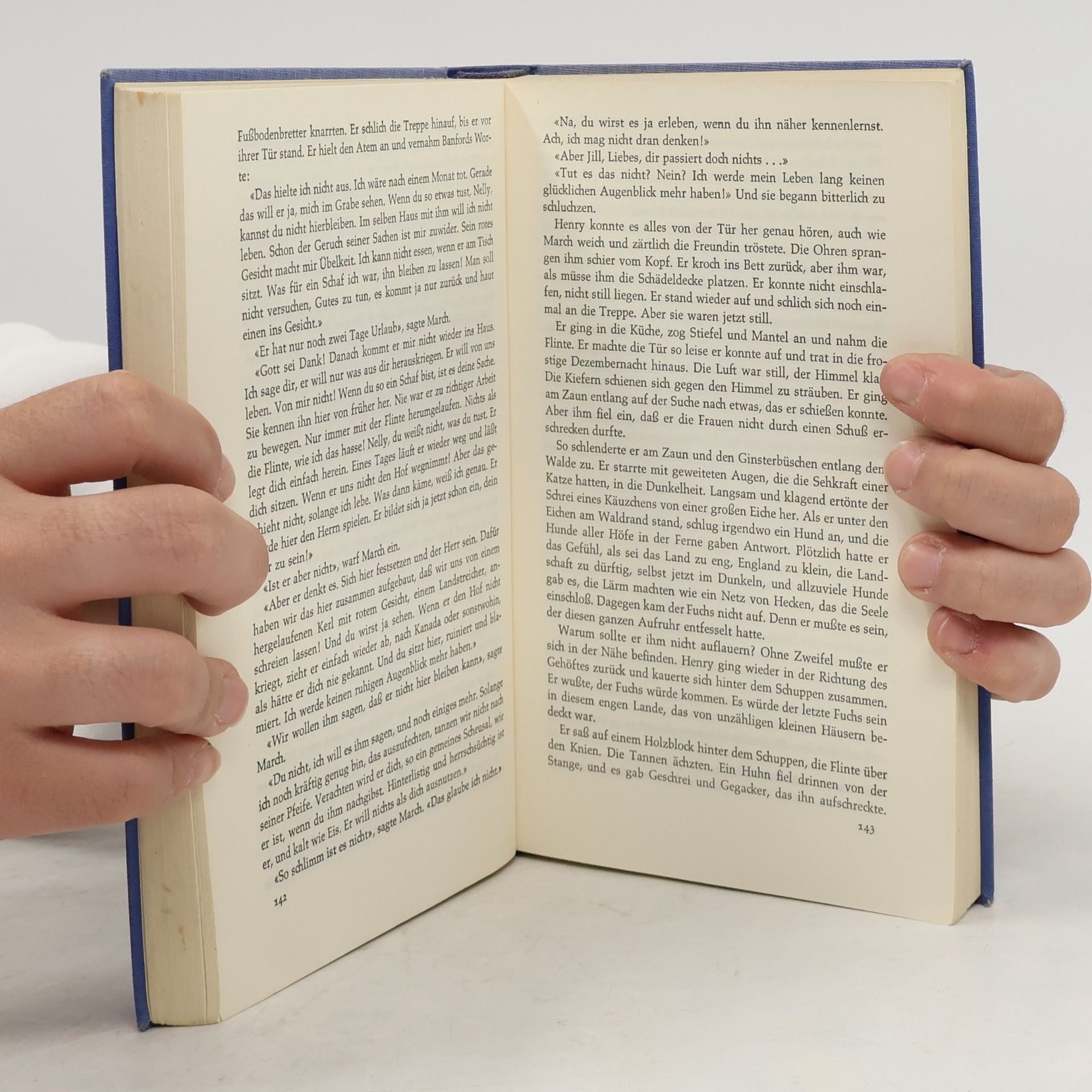 D. H. Lawrence Die blauen Mokassins