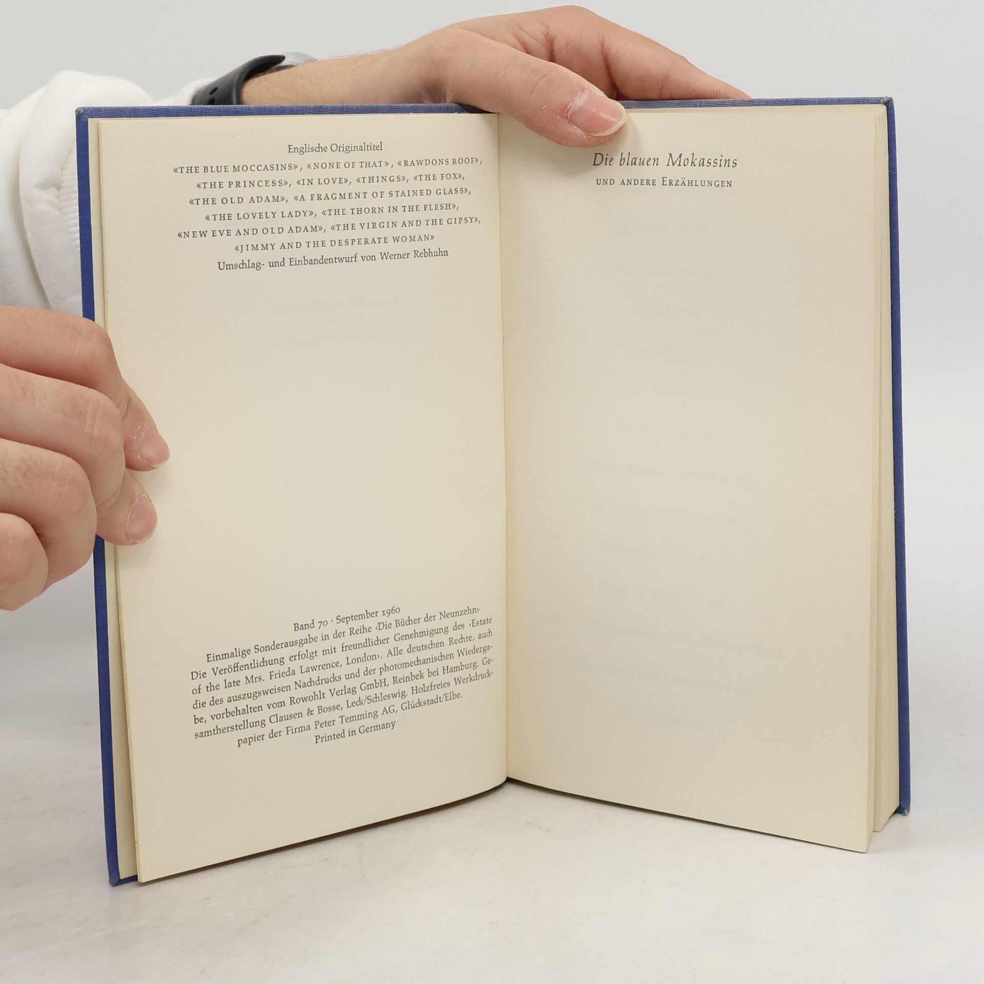 D. H. Lawrence Die blauen Mokassins