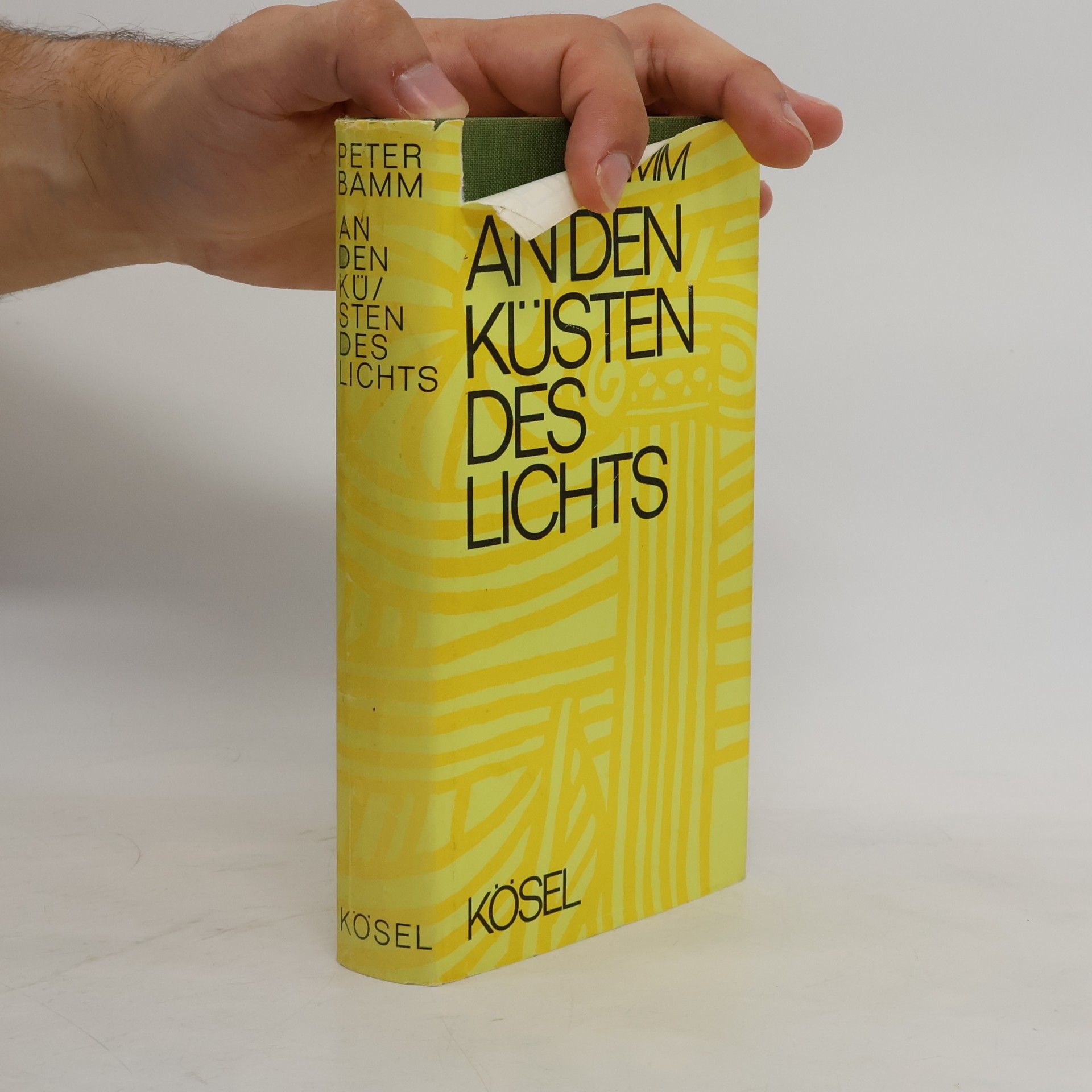 Peter Bamm An den Küsten des Lichts