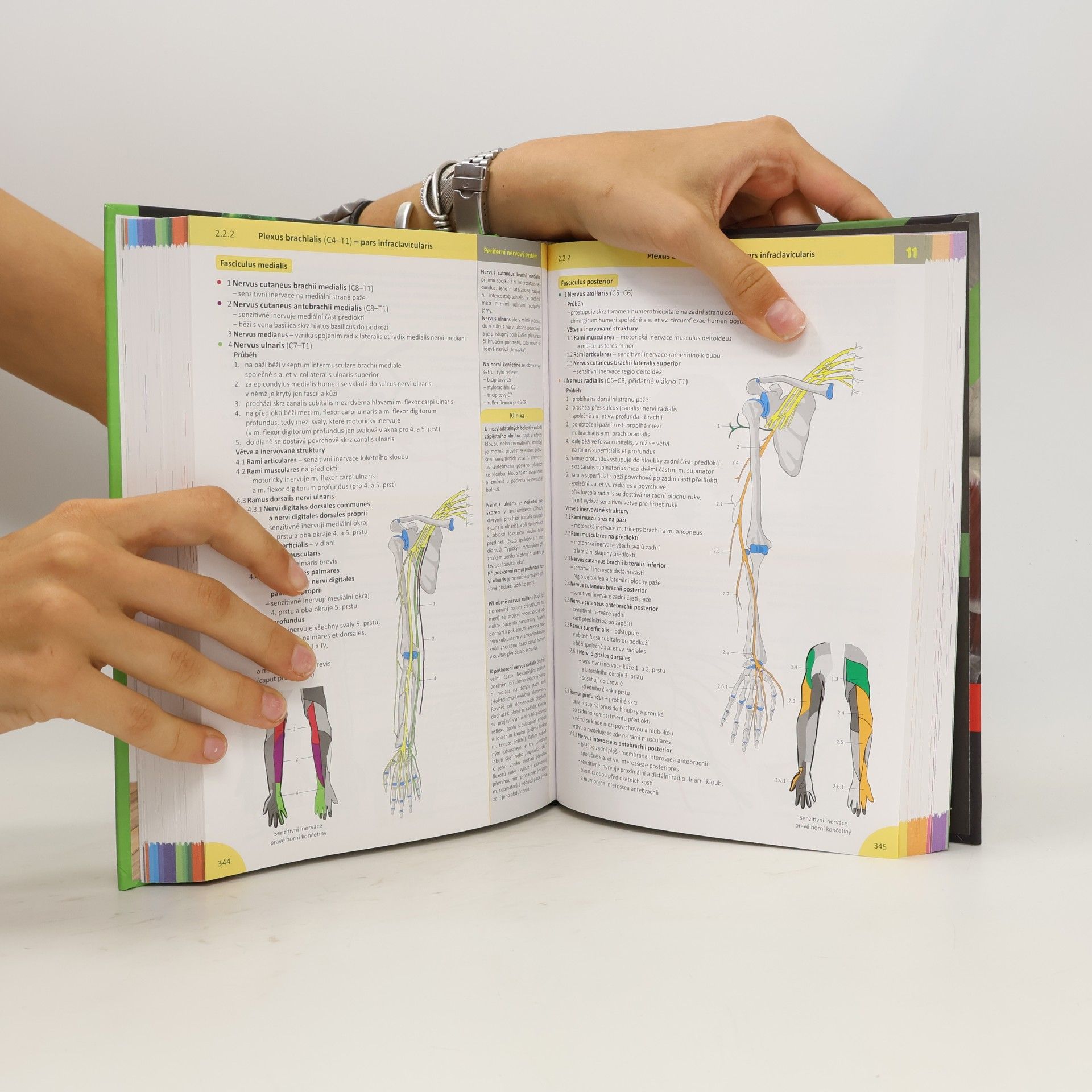 Radovan Hudák Memorix anatomie