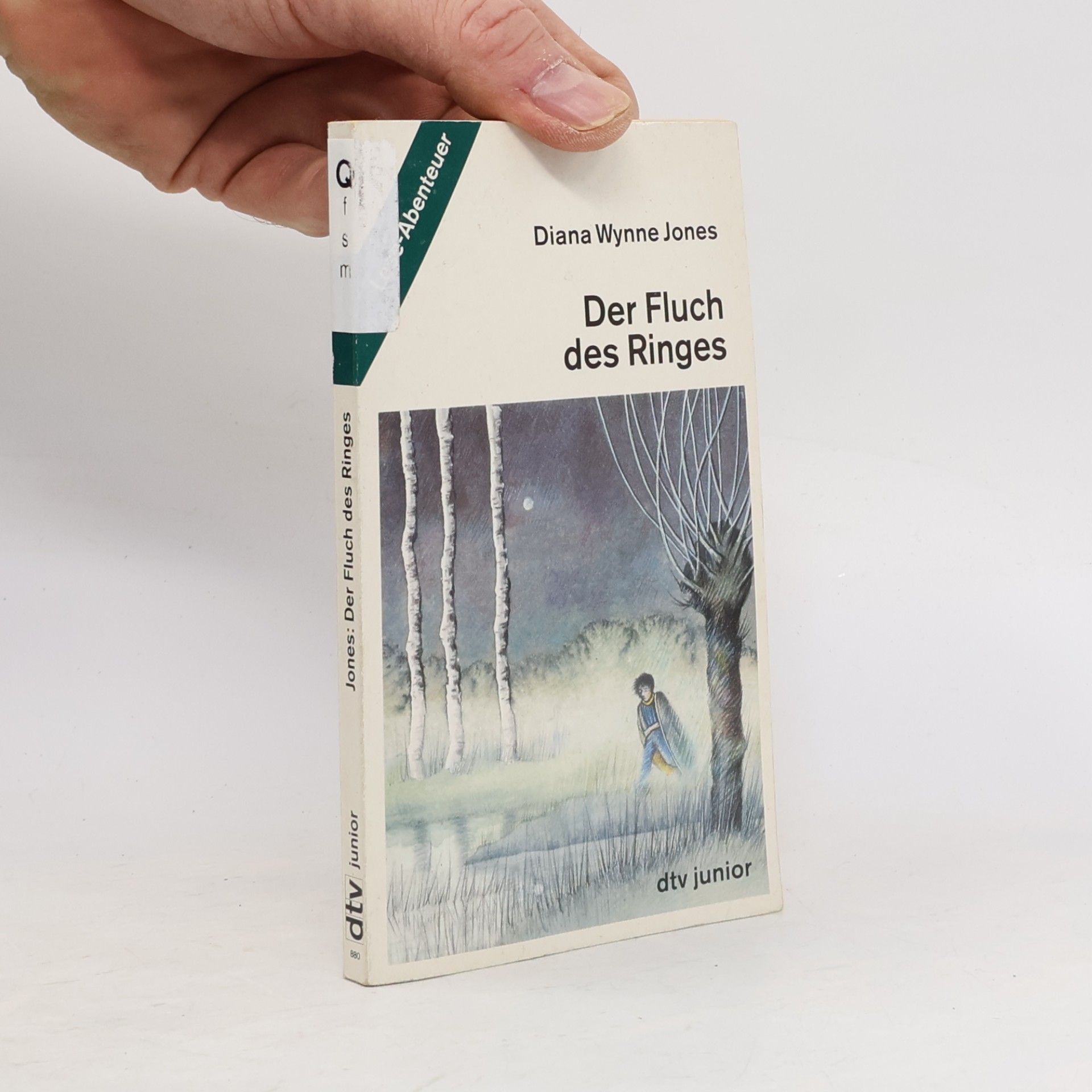 Diana Wynne Jones Der Fluch des Ringes