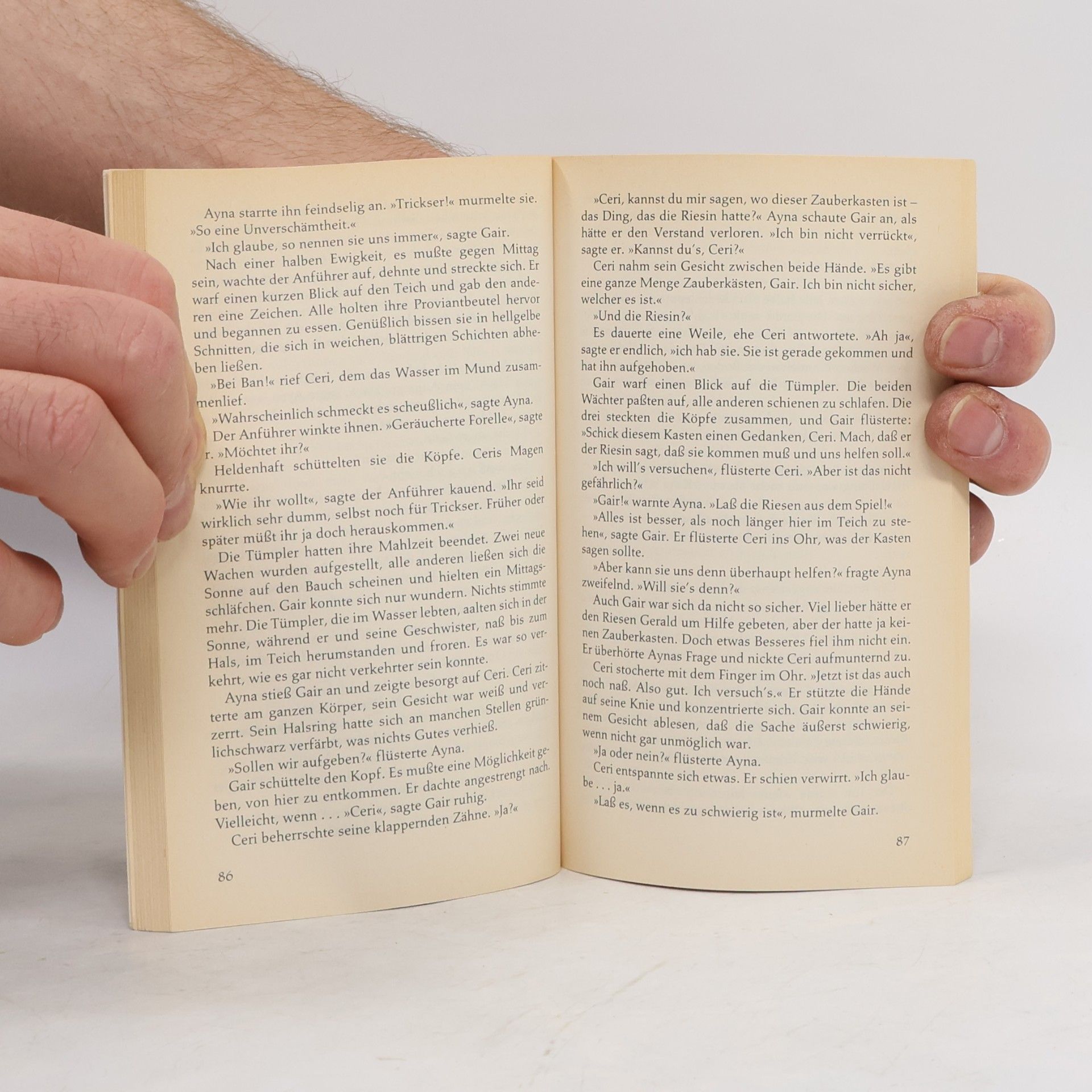 Diana Wynne Jones Der Fluch des Ringes