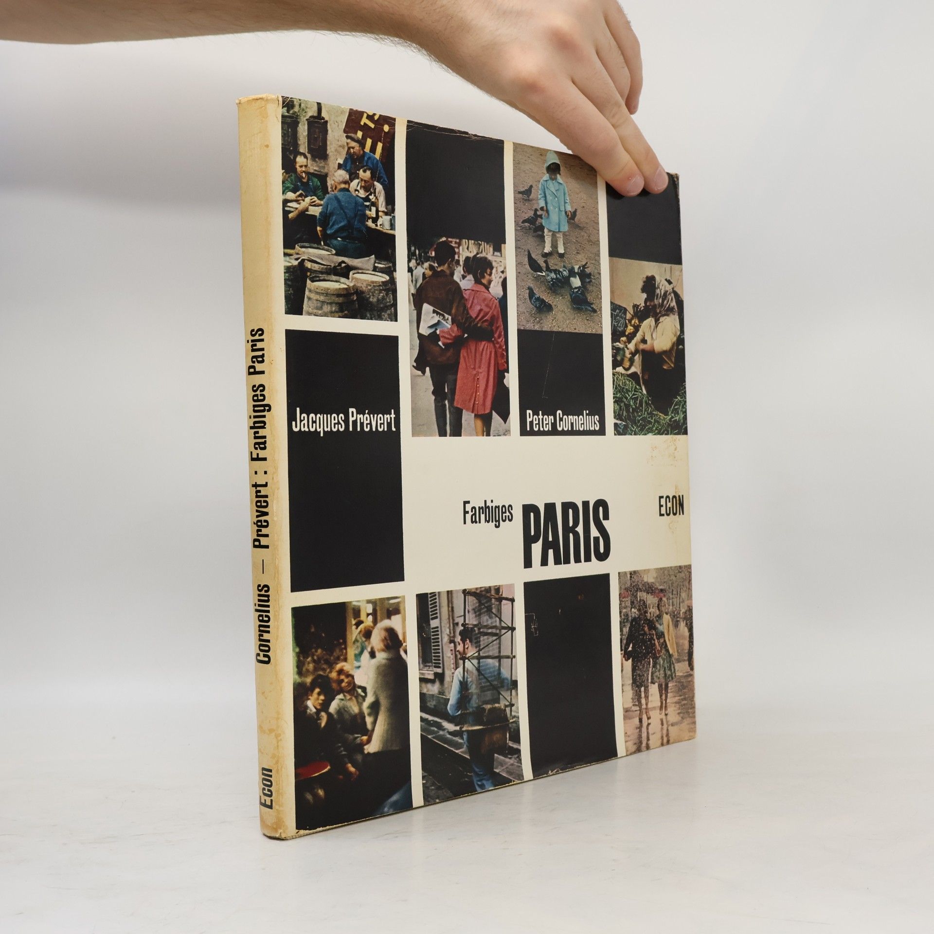 Peter Cornelius Farbiges Paris