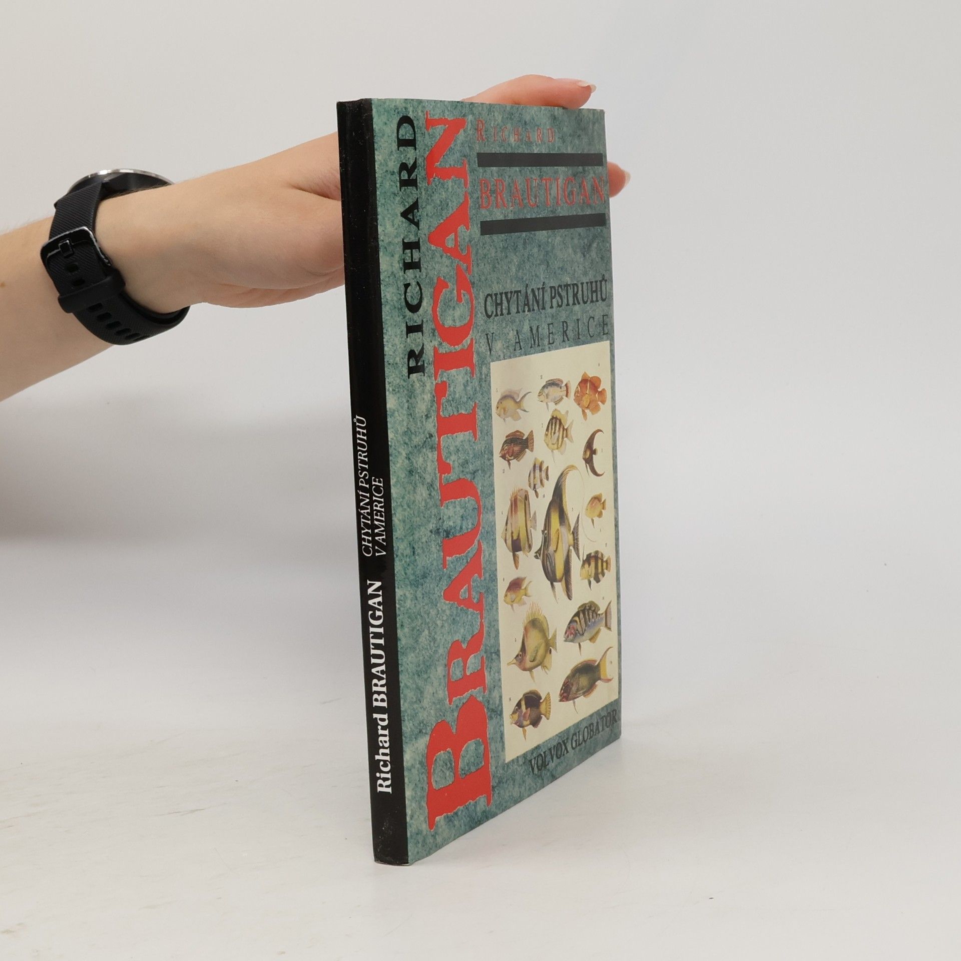 Richard Brautigan Chytání pstruhů v Americe