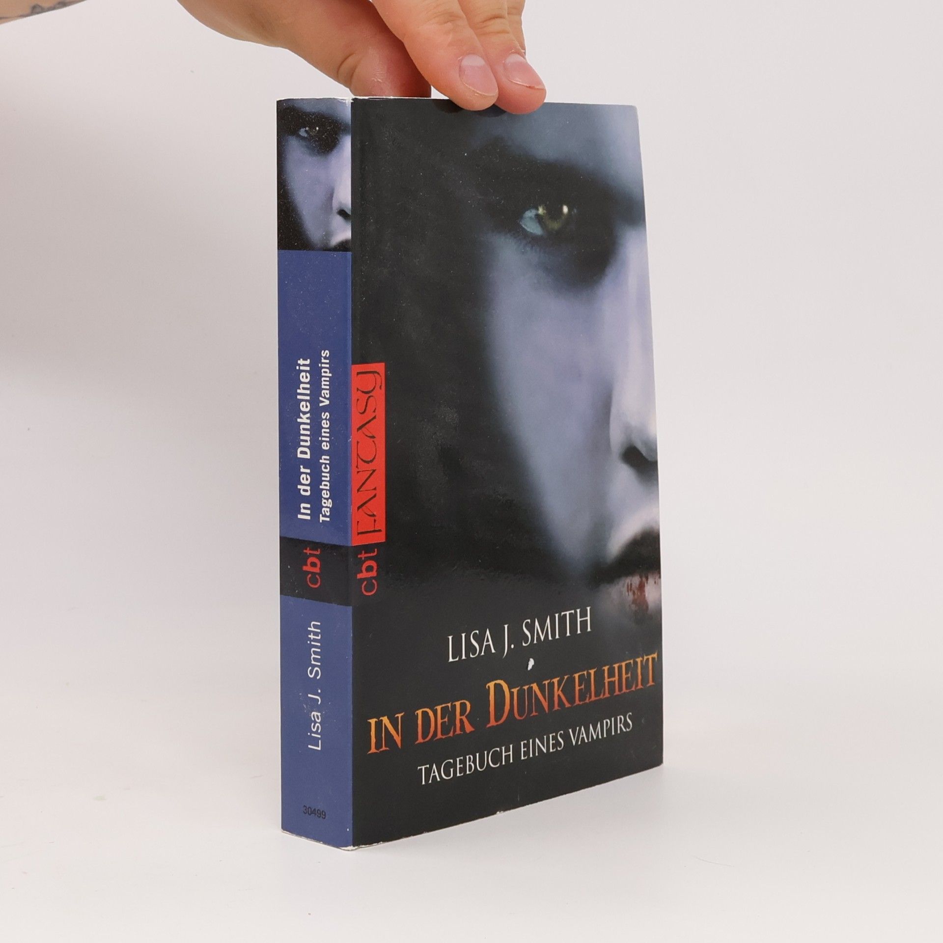 L. J. Smithová  In der Dunkelheit