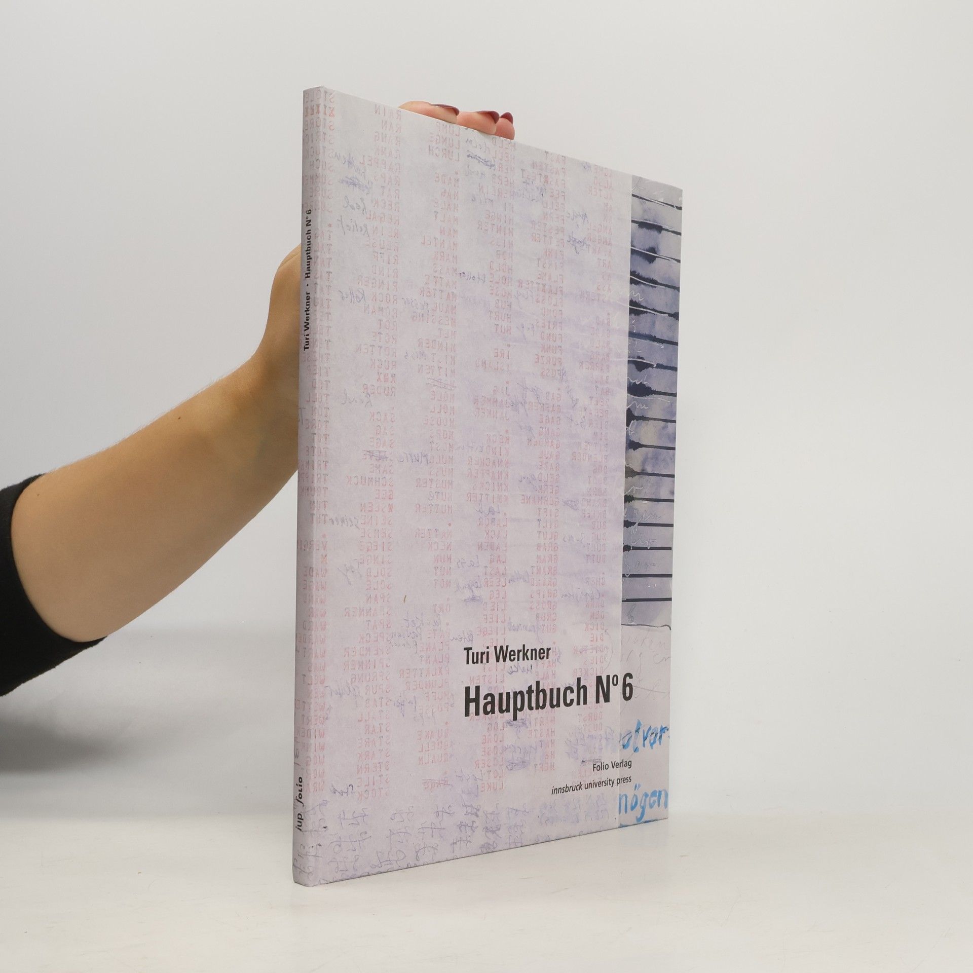 Turi Werkner Hauptbuch No 6